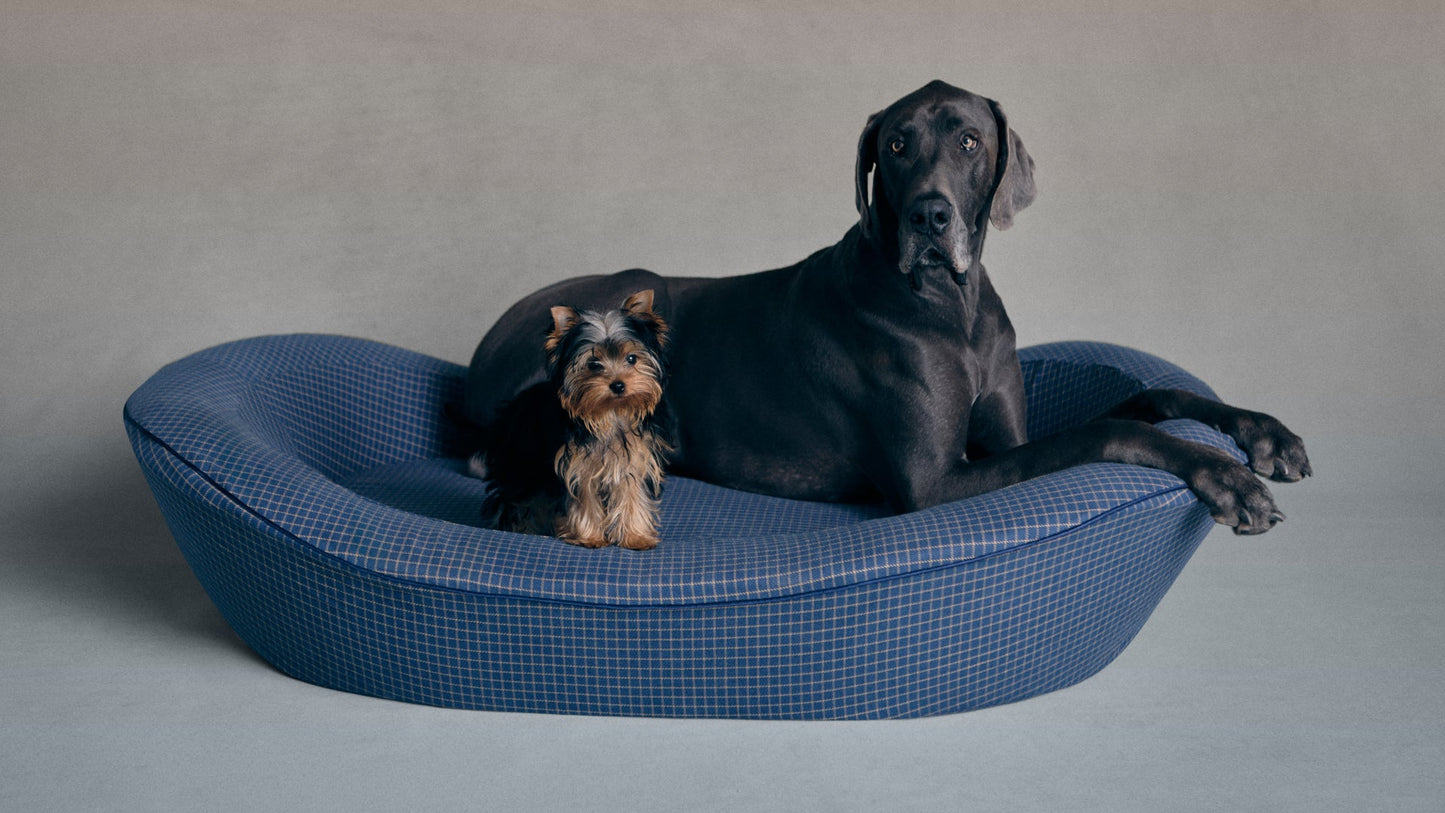 Enid Blythe Timeless Dog Bed in Wren's Blueprint