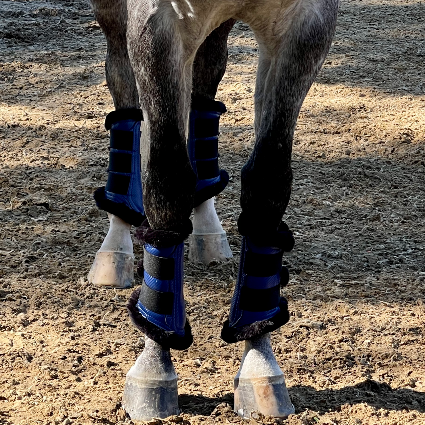 Halter Ego - Brushing Boots - Royal Blue
