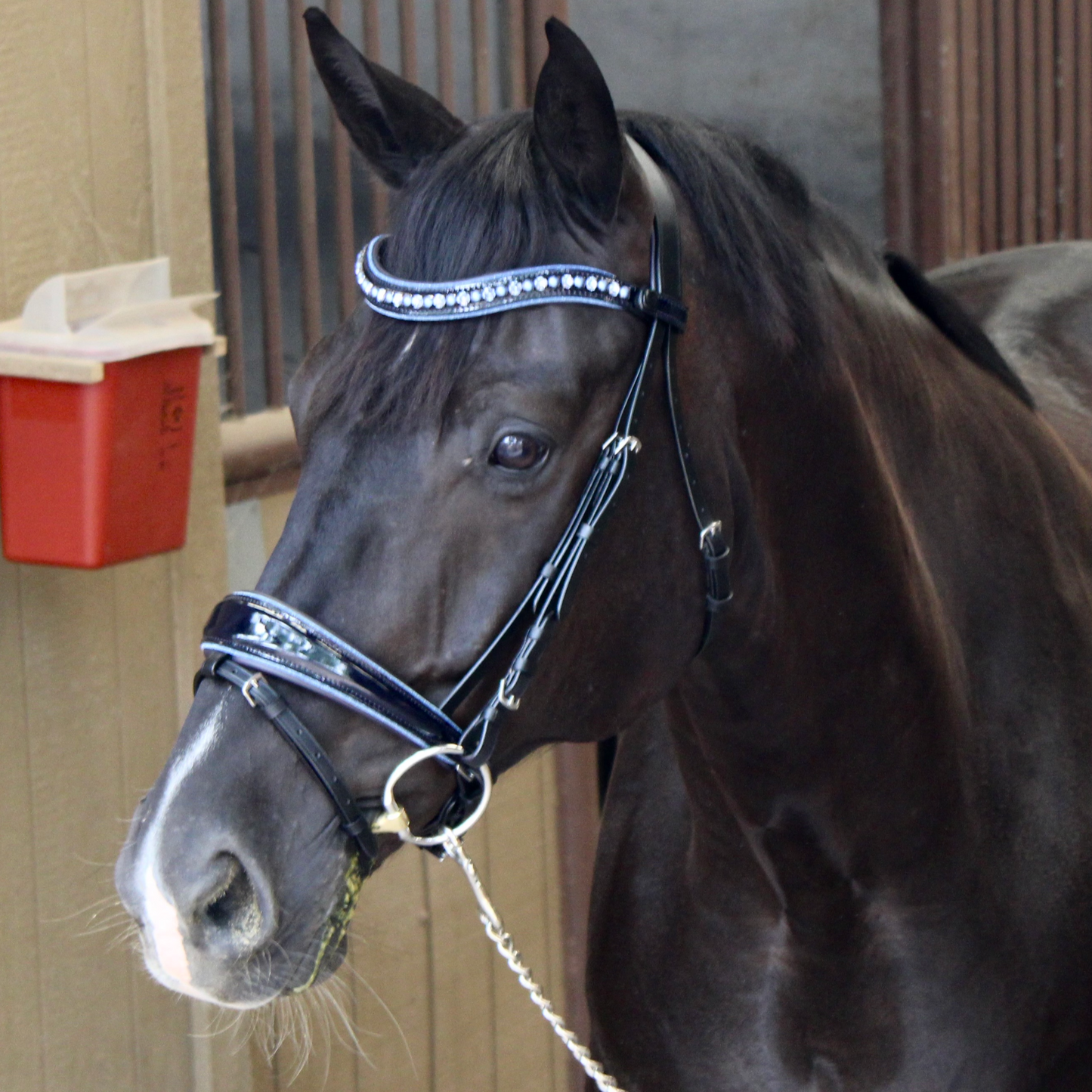 Halter Ego - The Bluebell - Navy Patent Leather Snaffle Bridle with REMOVABLE FLASH