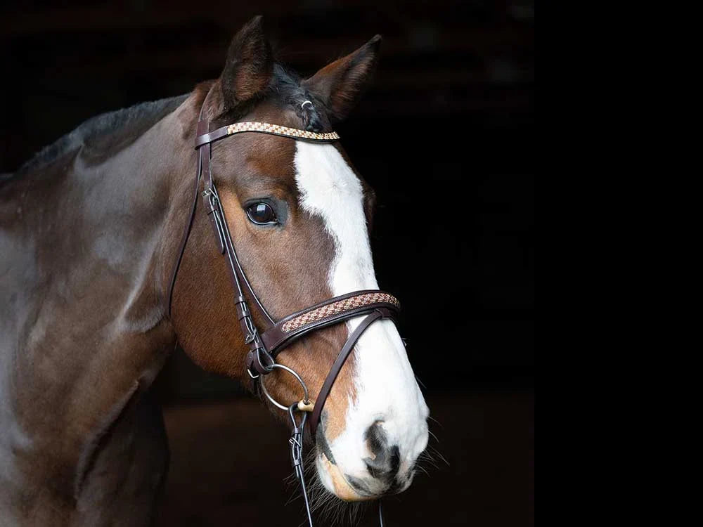 Grewal Equestrian - Bonn Beaded Dressage Bridle