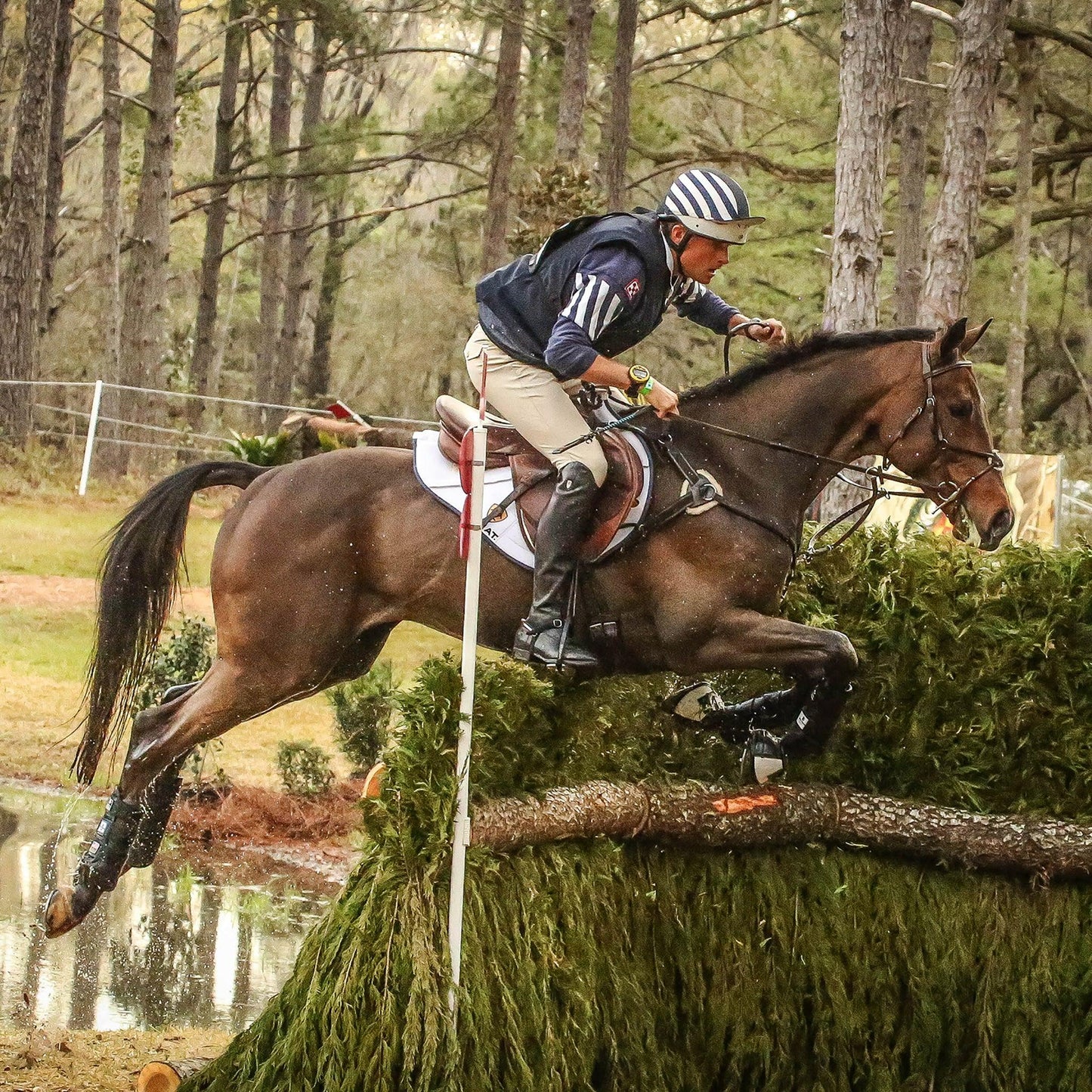 MAJYK EQUIPE® Boyd Martin Series - Eventing 4 Pack - (Fronts and Hinds)