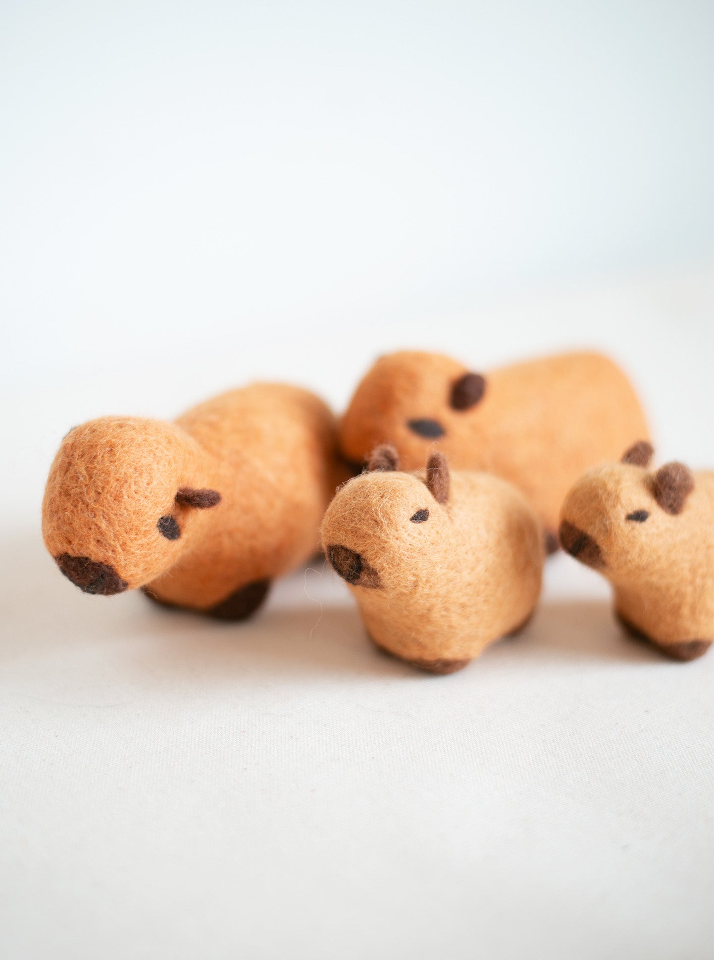 MODERNBEAST - Capybara Wool Dog Toy