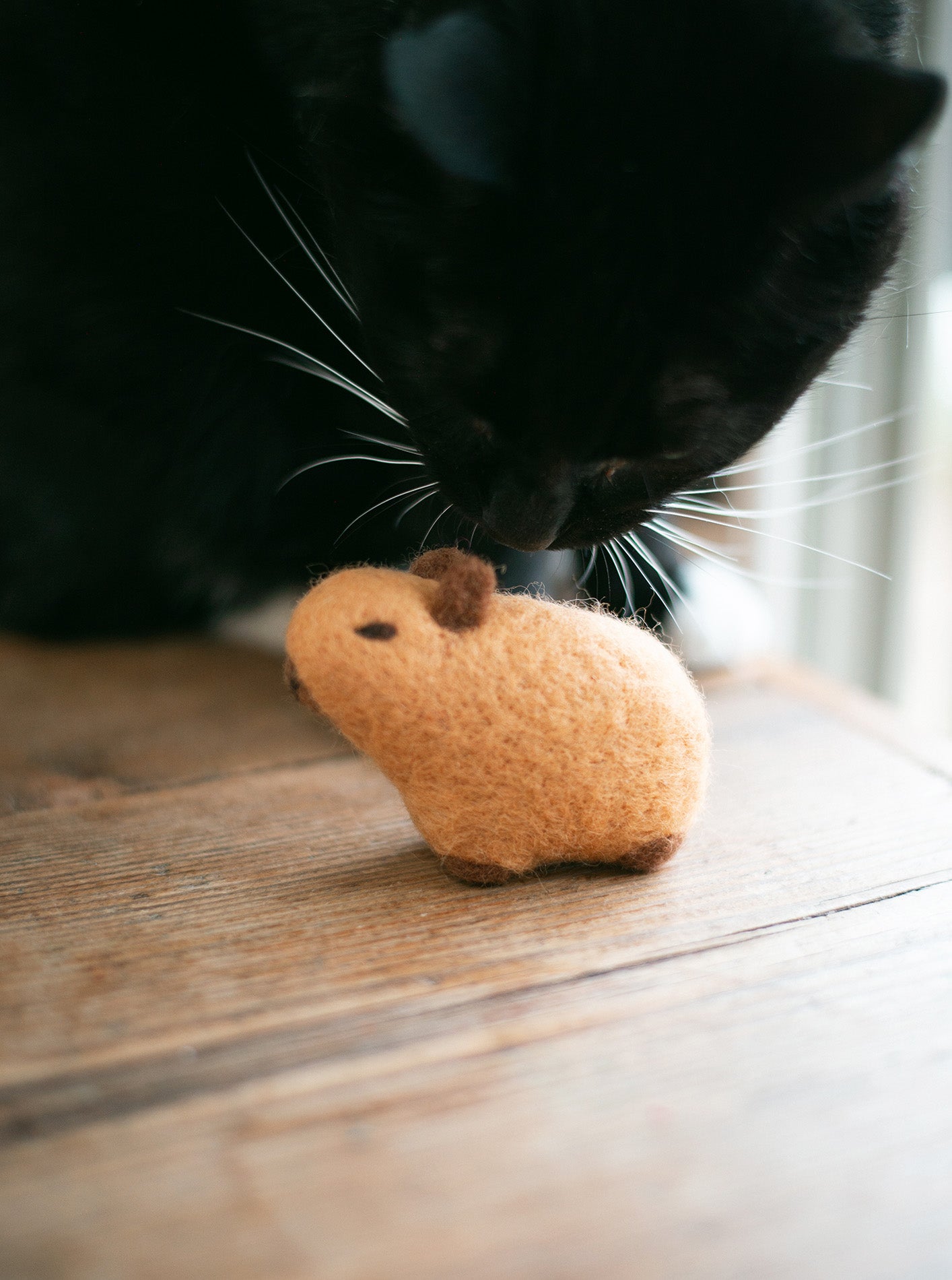 MODERNBEAST - Capybara Wool Dog Toy