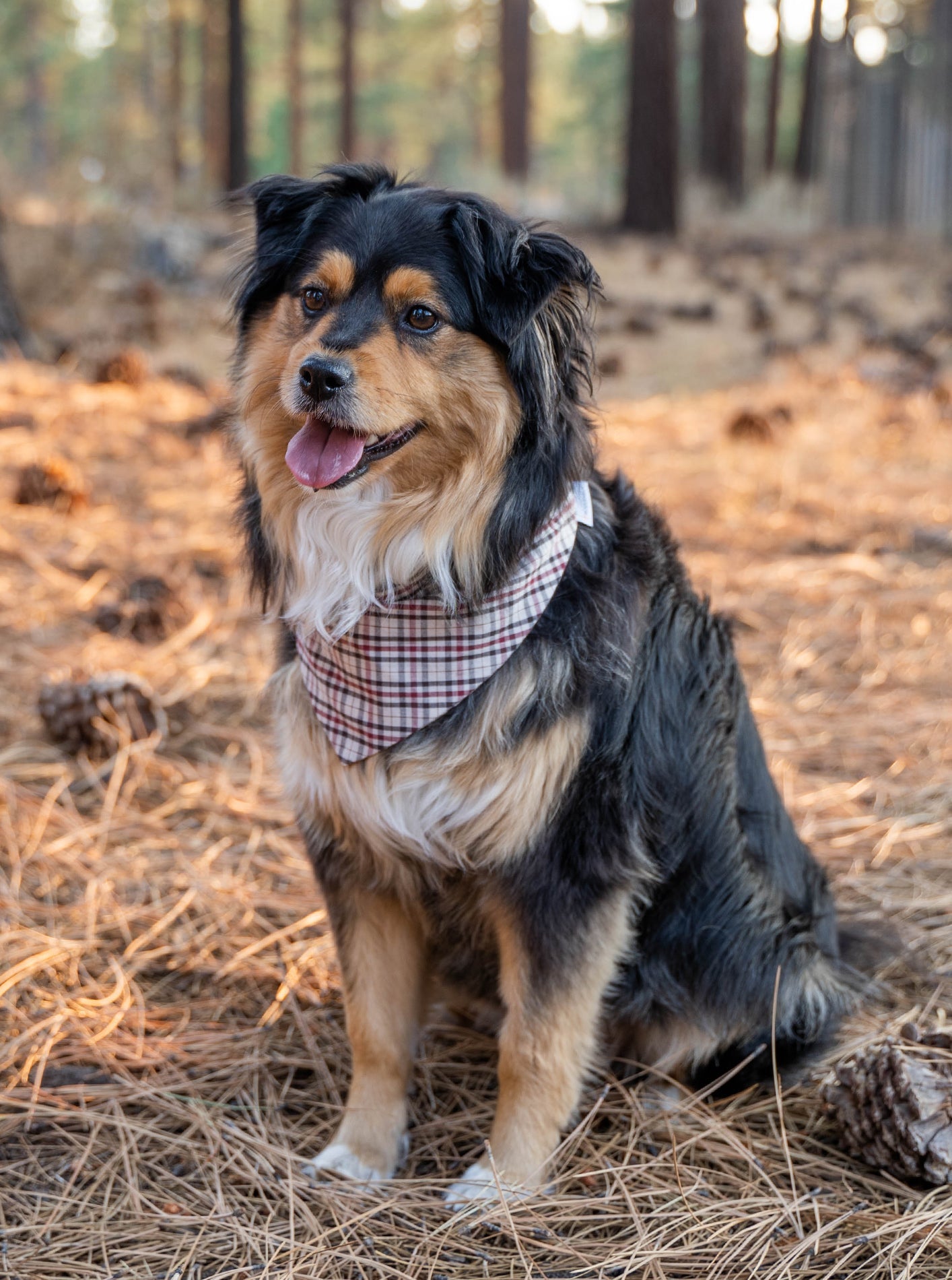MODERNBEAST Winter Bandana