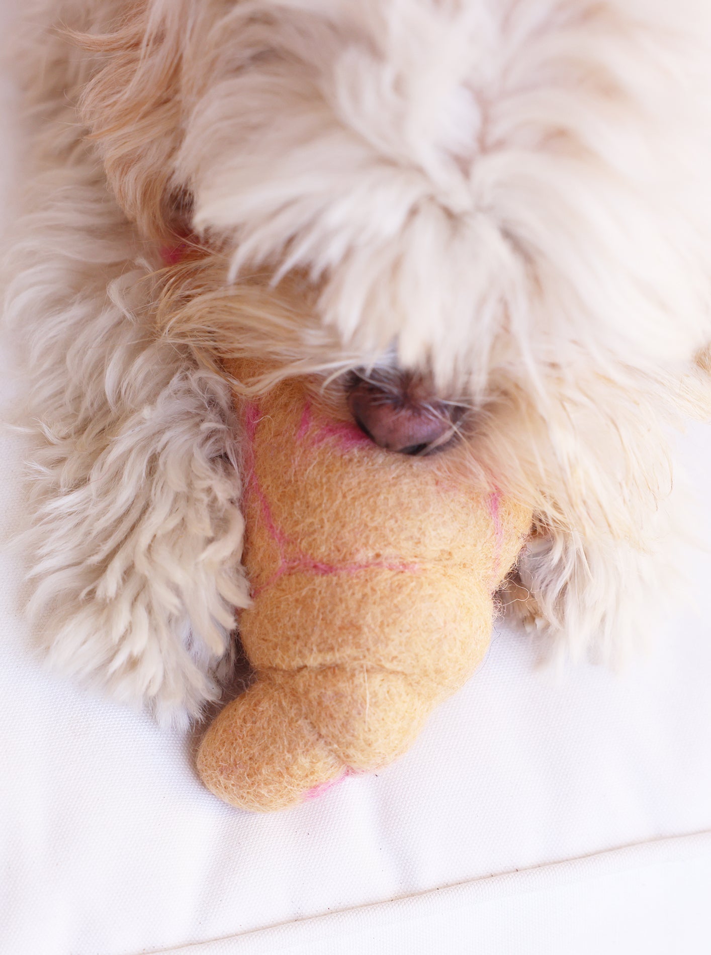 MODERNBEAST -  Croissant Wool Dog Toy