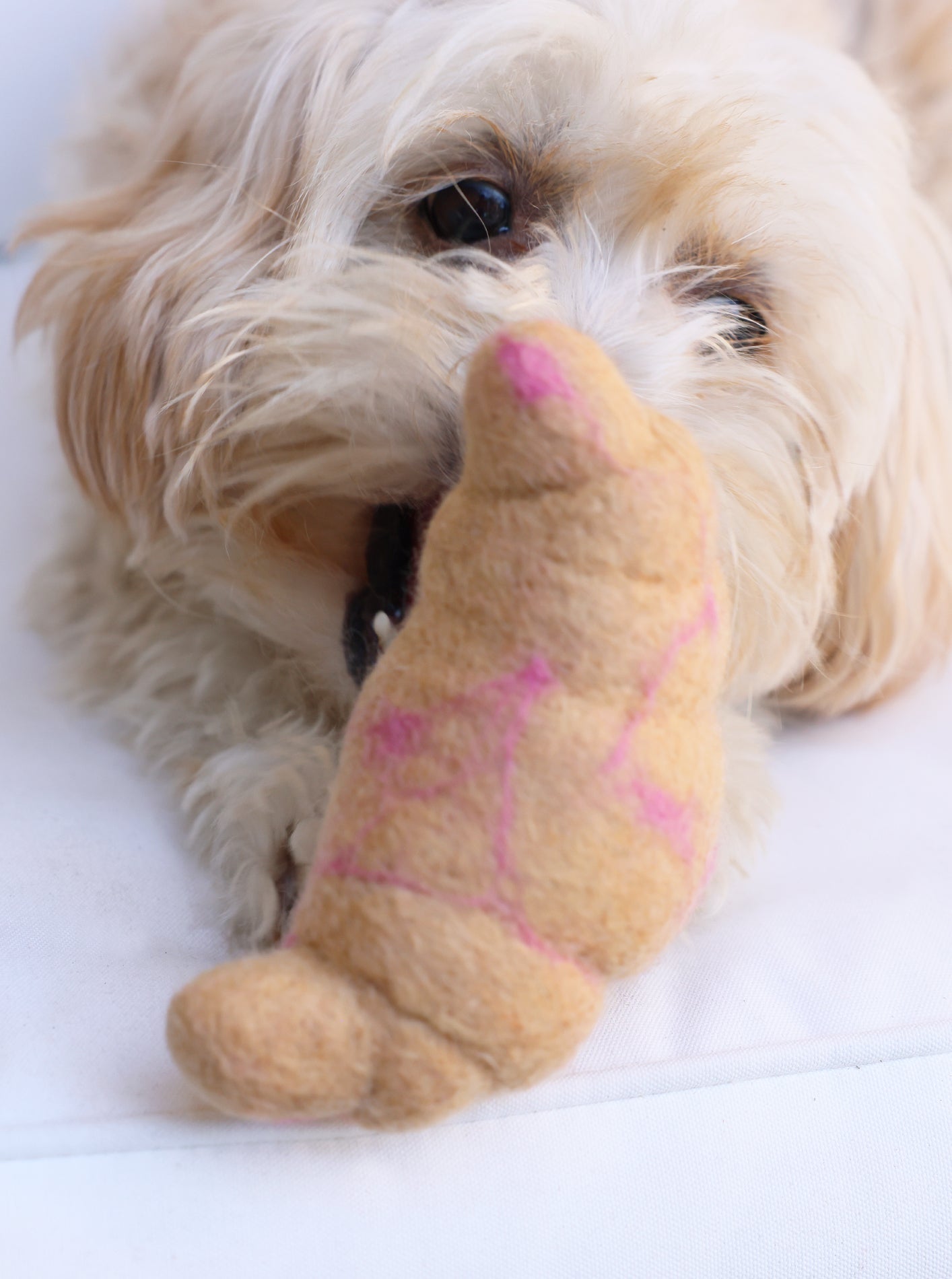 MODERNBEAST -  Croissant Wool Dog Toy