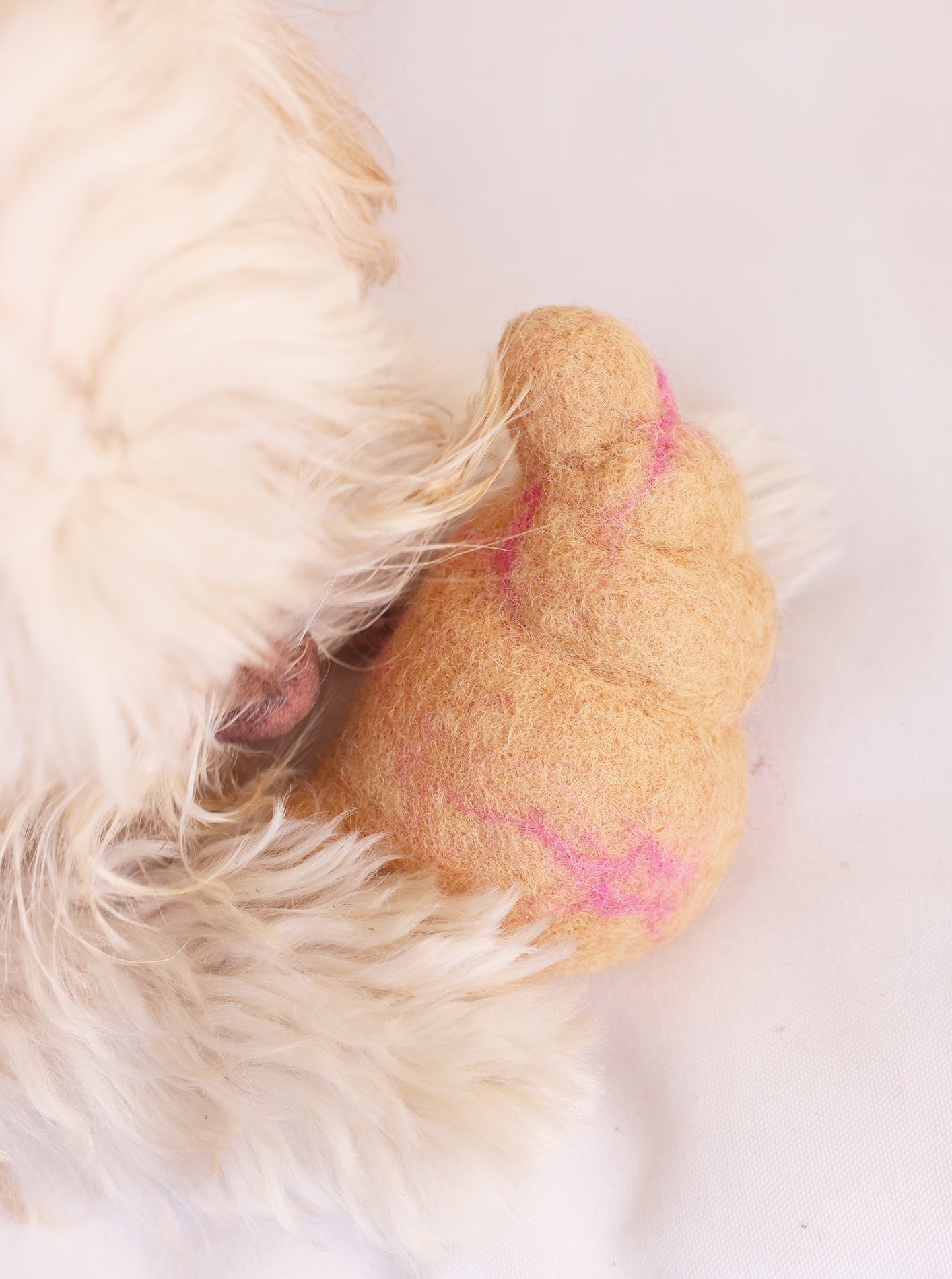 MODERNBEAST -  Croissant Wool Dog Toy