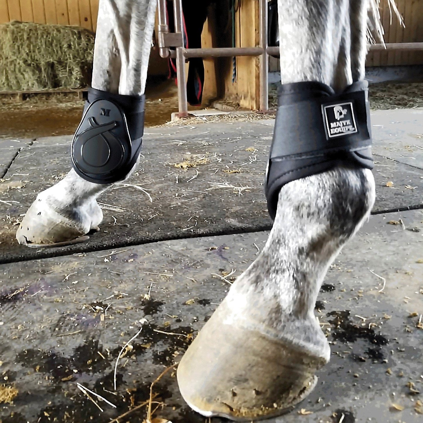 Majyk Equipe - Infinity Fetlock Boots with ARTi-LAGE Technology  (FEI Young Horse Compliant)