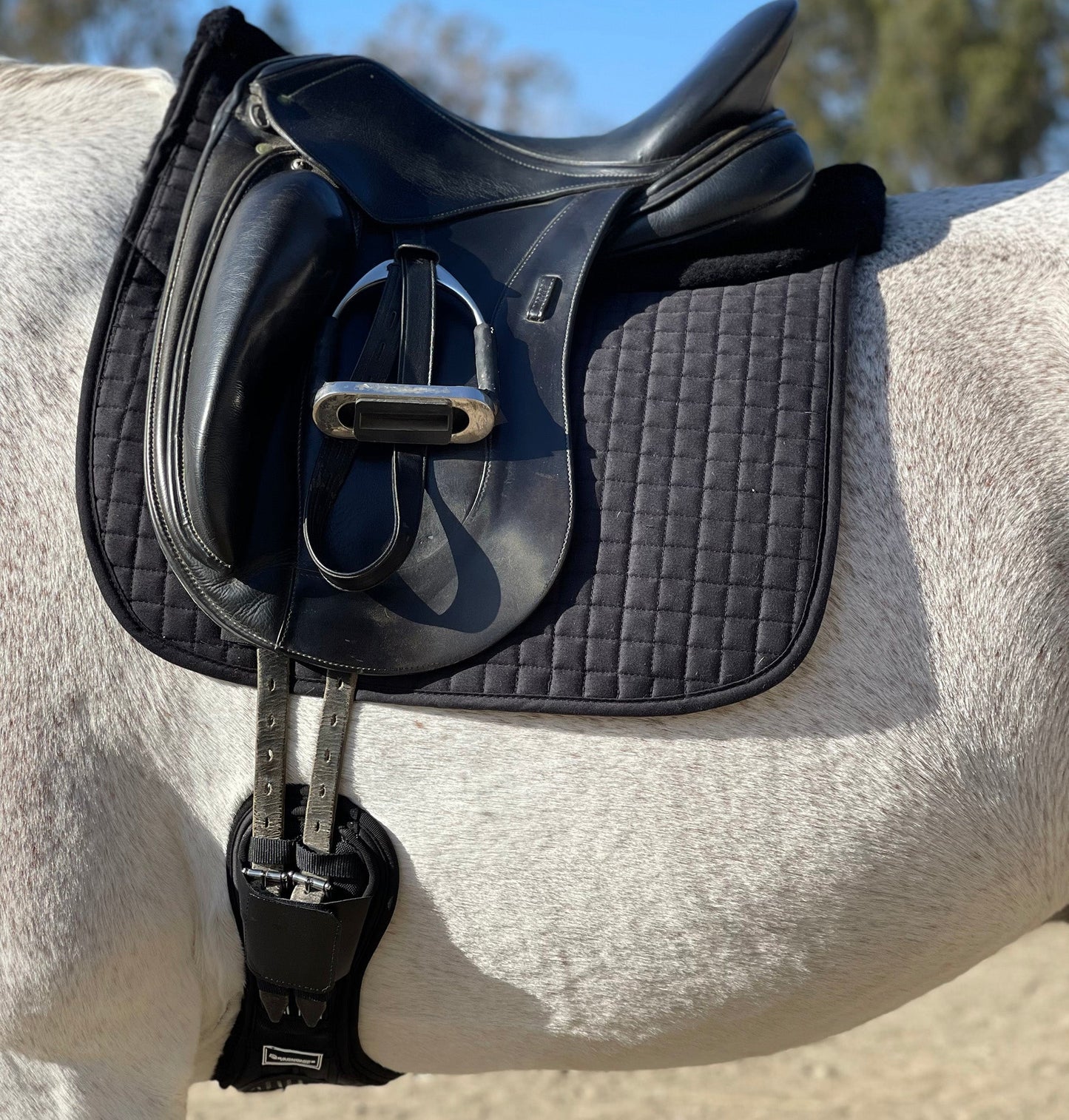 Majyk Equipe - Ergonomics Spur Saver Dressage Girth with Buckle Guards