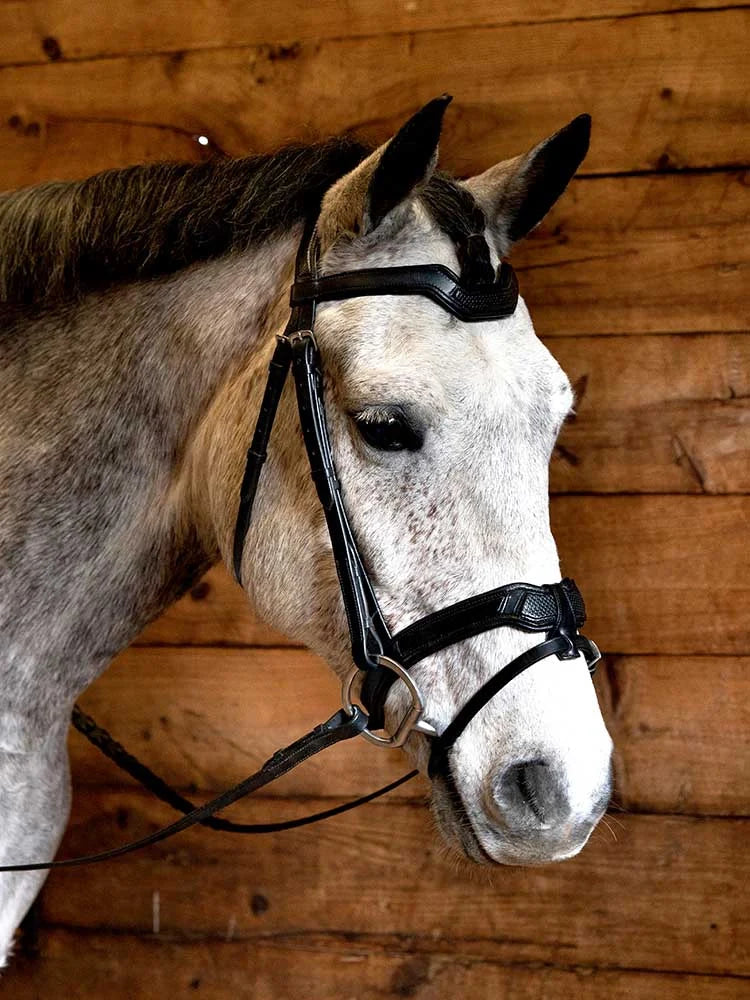 Grewal Equestrian - Cobra Snakeskin-Embossed Monocrown Bridle