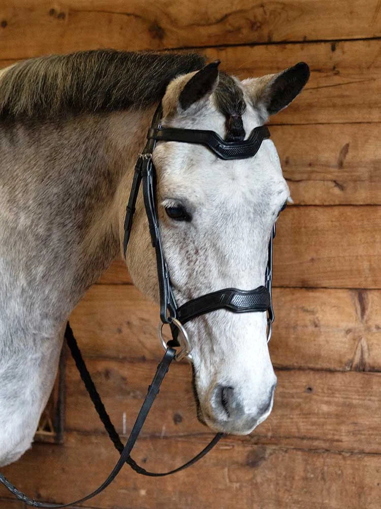 Grewal Equestrian - Cobra Snakeskin-Embossed Monocrown Bridle