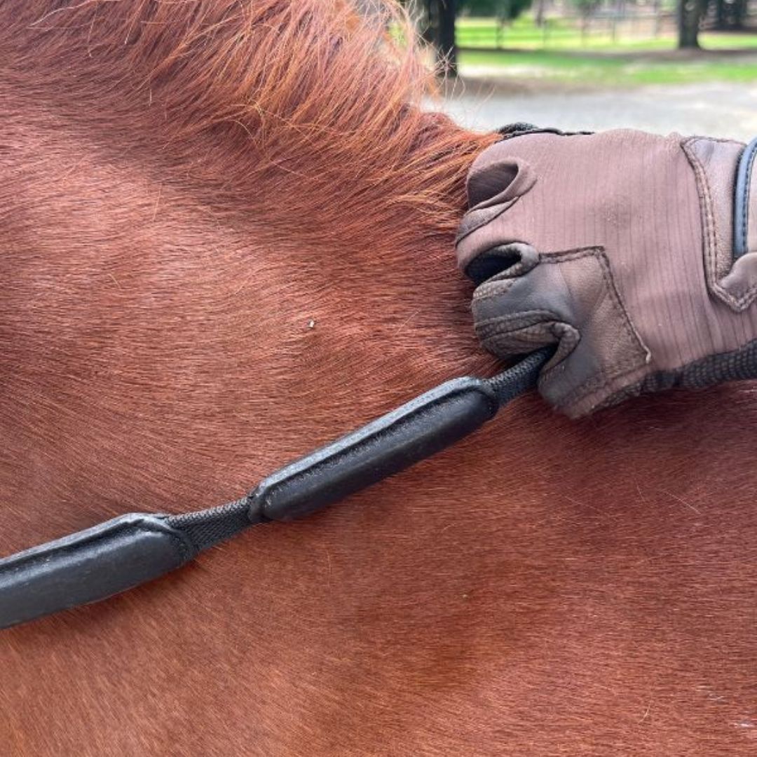 Correct Connect - Comfort Connect Rein - Intermittent Padding for Equal Rein Length and Hand Support