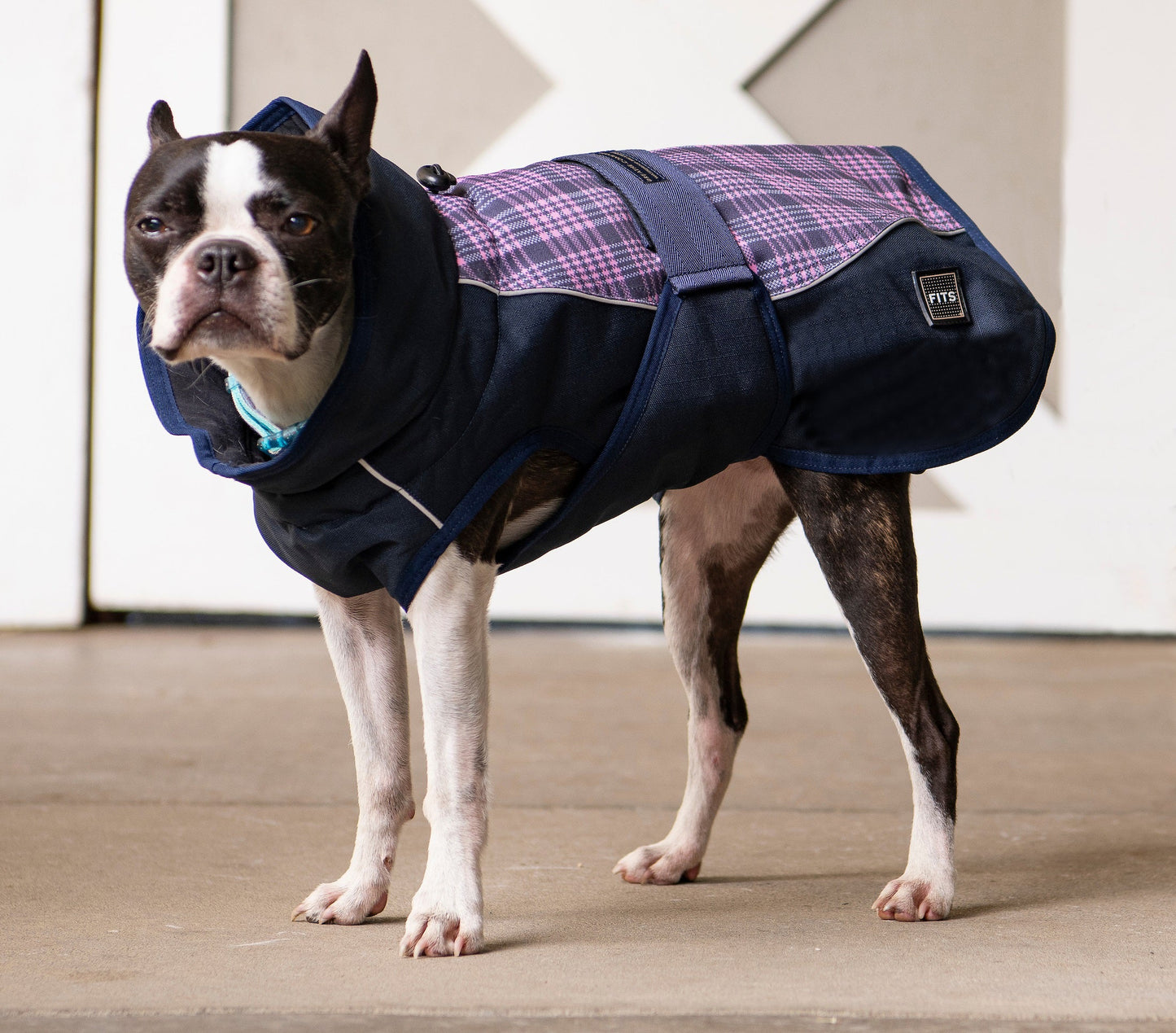 FITS Riding - All Weather Dog Coat