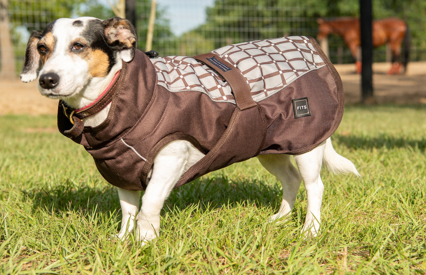 FITS Riding - All Weather Dog Coat