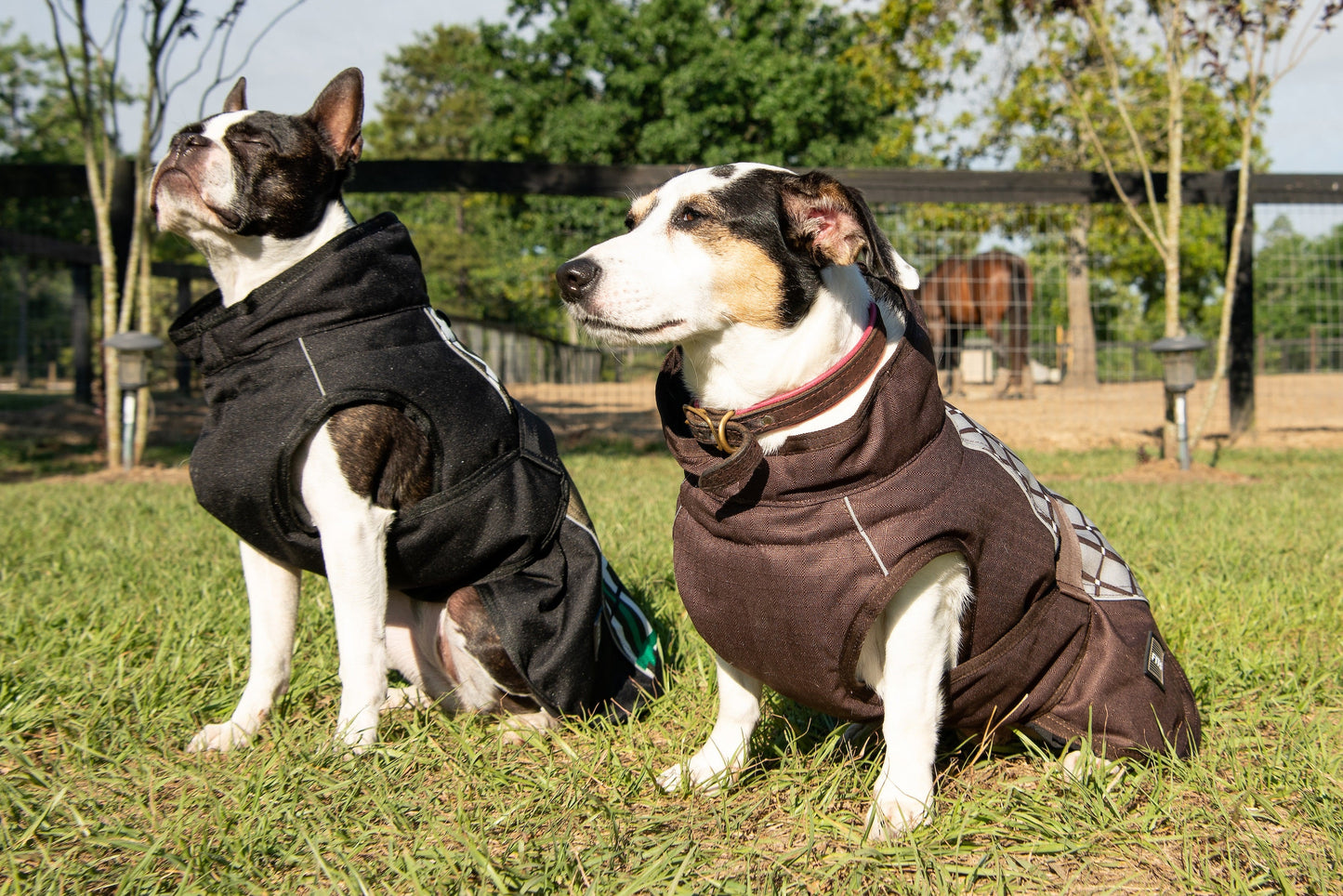 FITS Riding - All Weather Dog Coat
