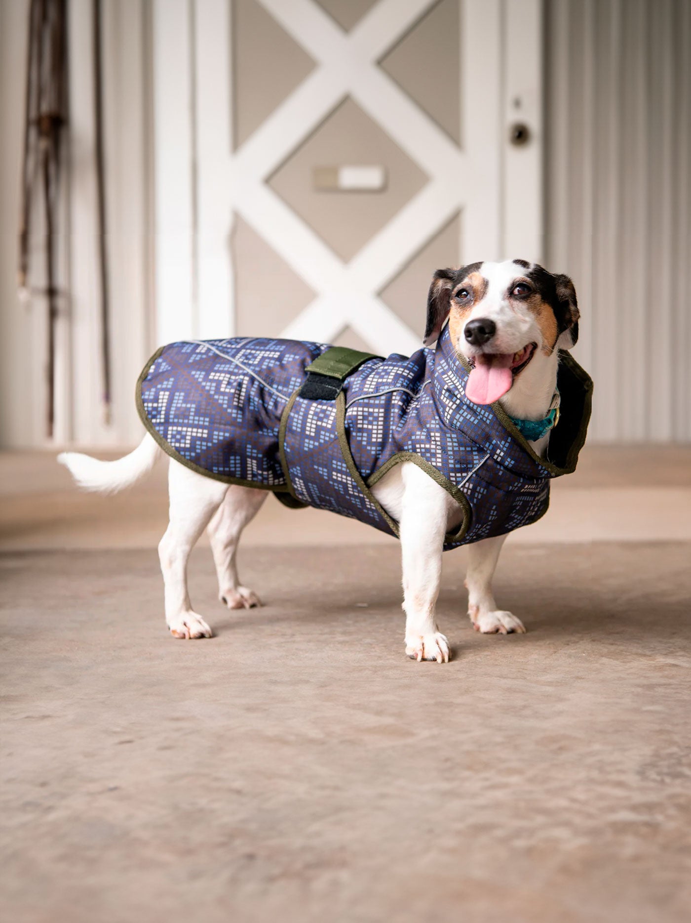 FITS Riding - All Weather Dog Coat