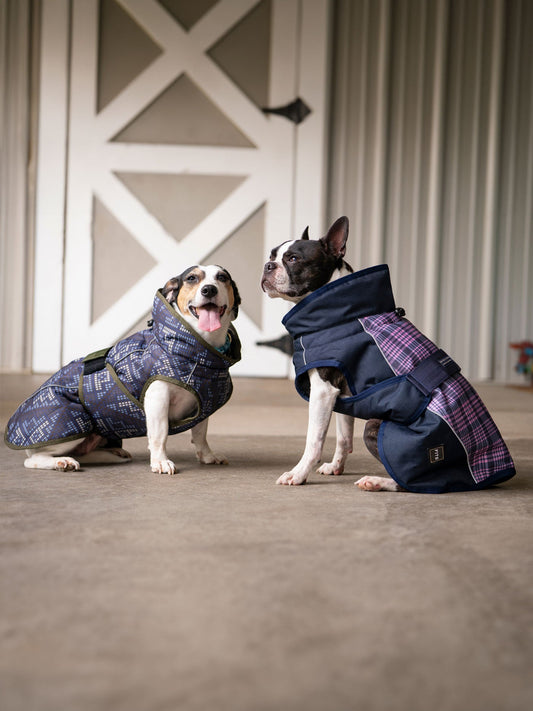 FITS Riding - All Weather Dog Coat
