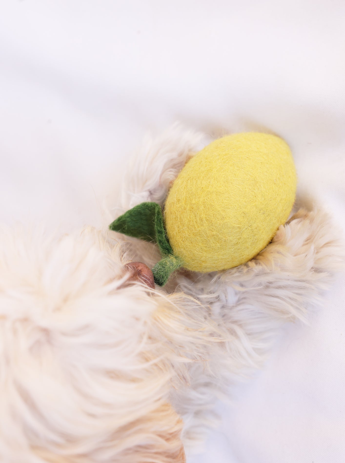 MODERNBEAST - Lemon Wool Dog & Cat Toy