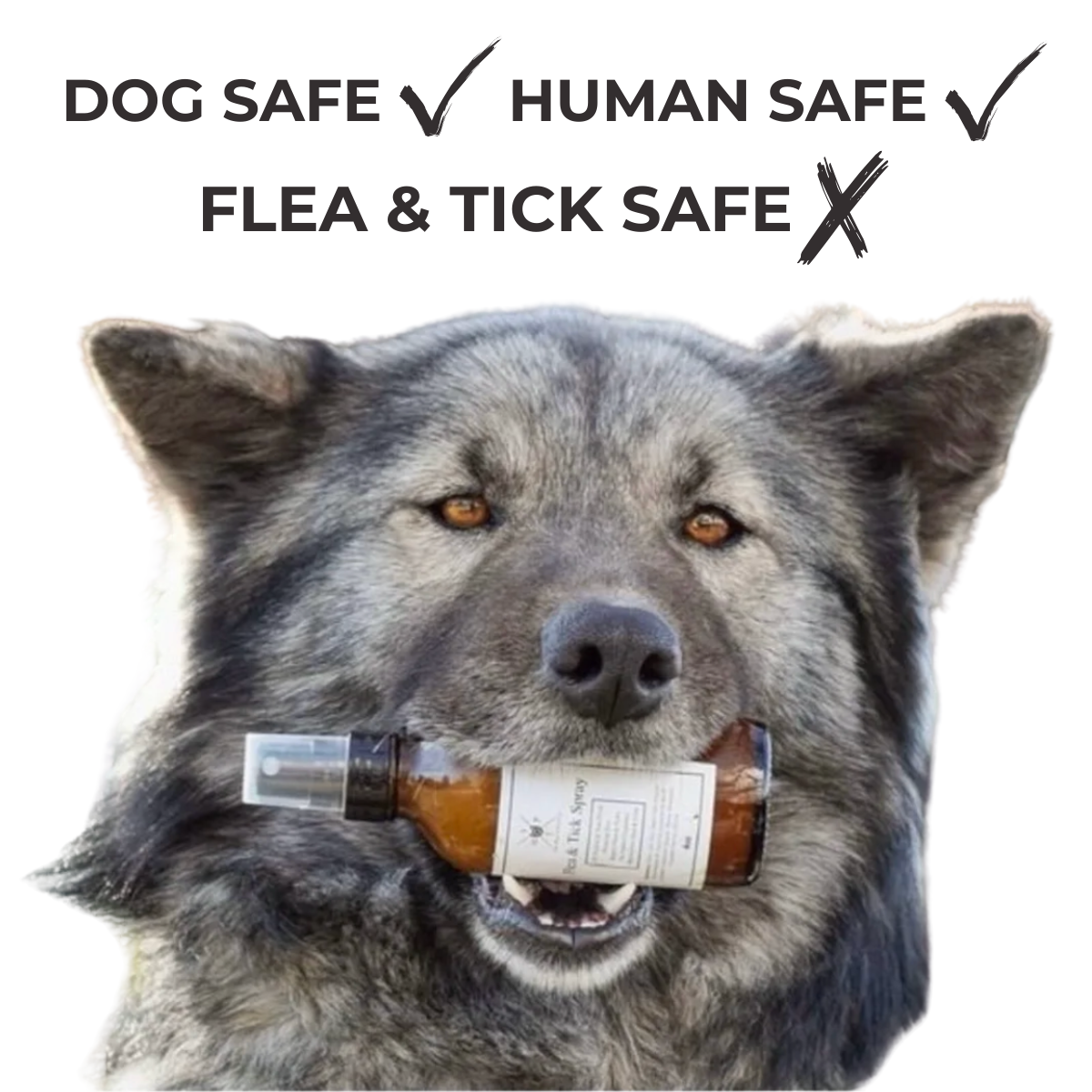 The Hoof & Paw Co. Flea & Tick Spray for Dogs