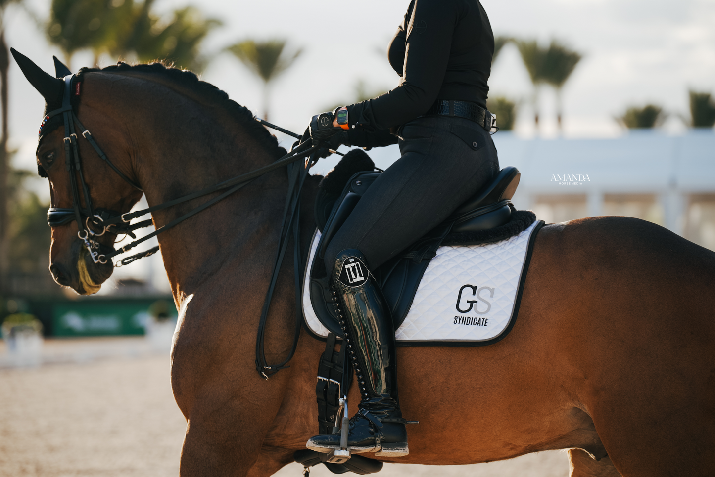 Halter Ego - Evolution Heritage Denim Full Seat Breeches - Black