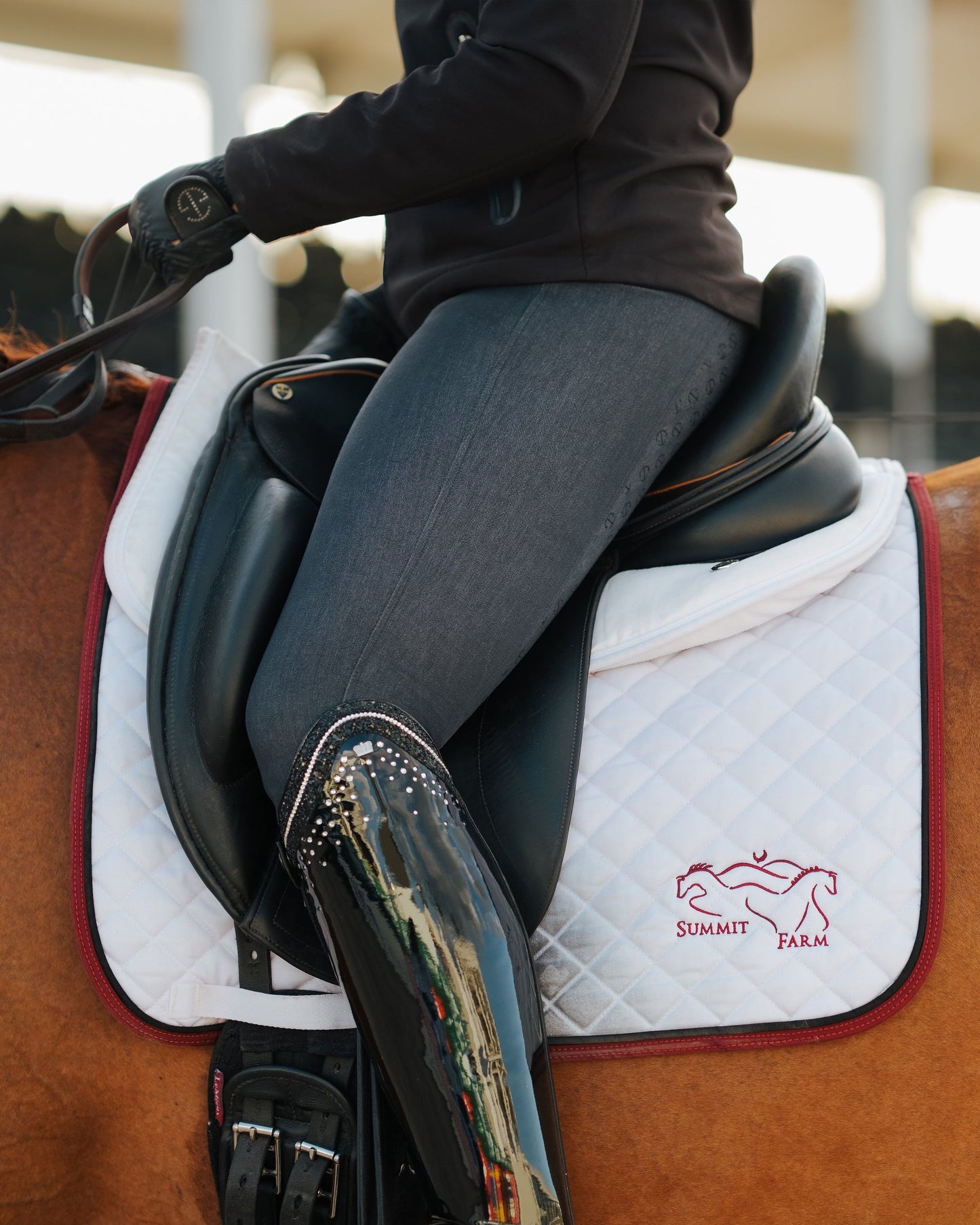 Halter Ego - Evolution Heritage Denim Full Seat Breeches - Black