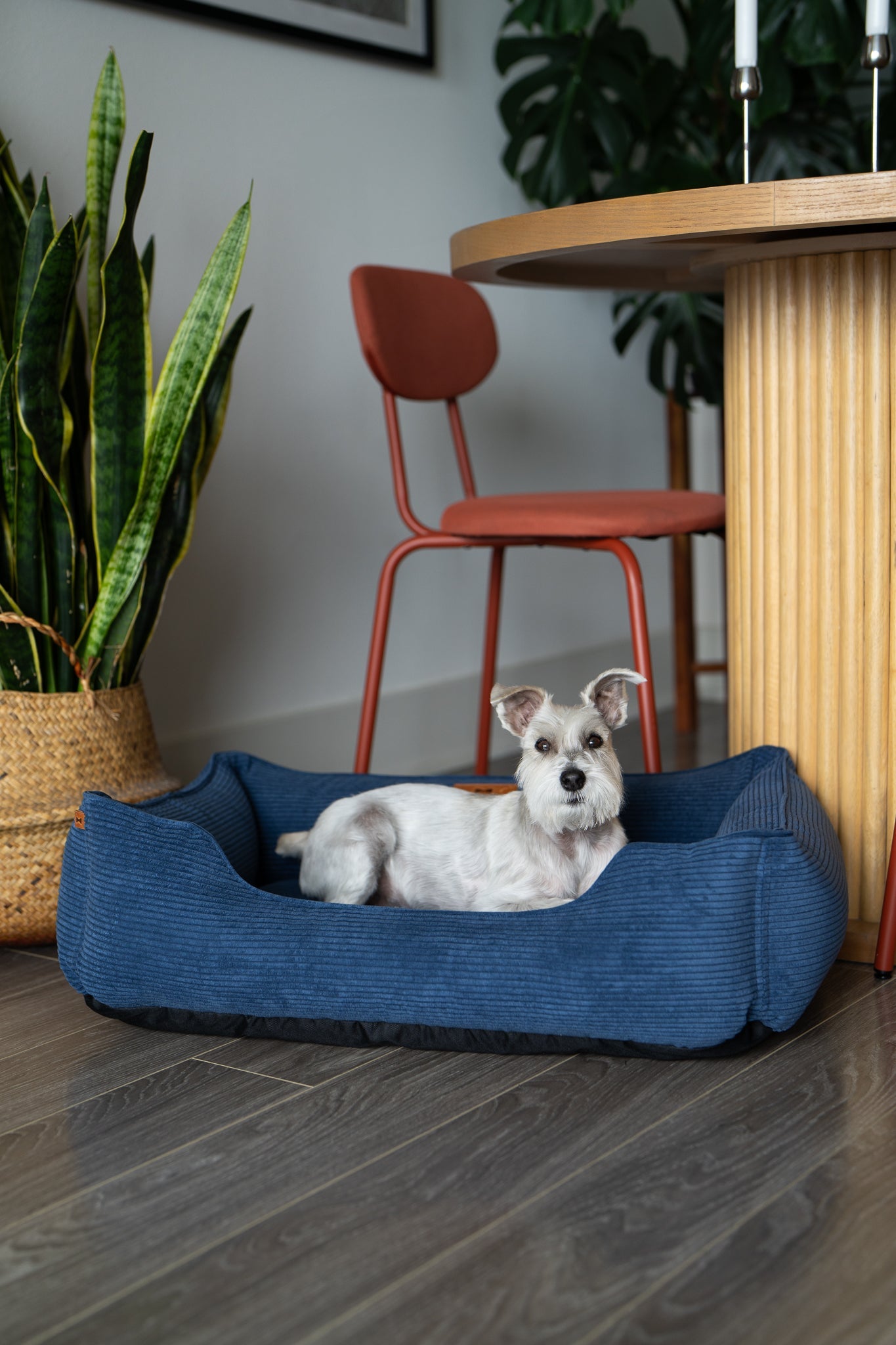 Chester & Lee Fancy Corduroy Sleeper Dog Bed Blue