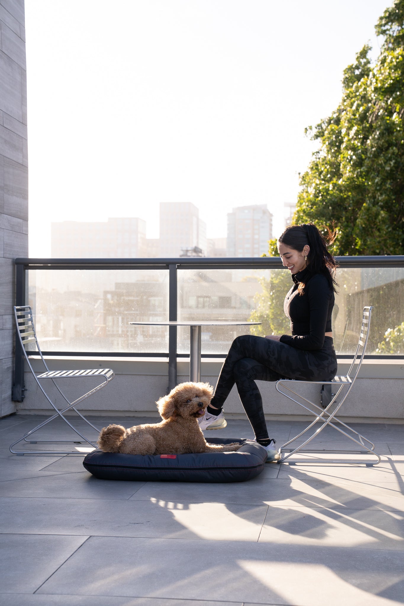 Chester & Lee Waterproof Lounger Dog Bed Gray