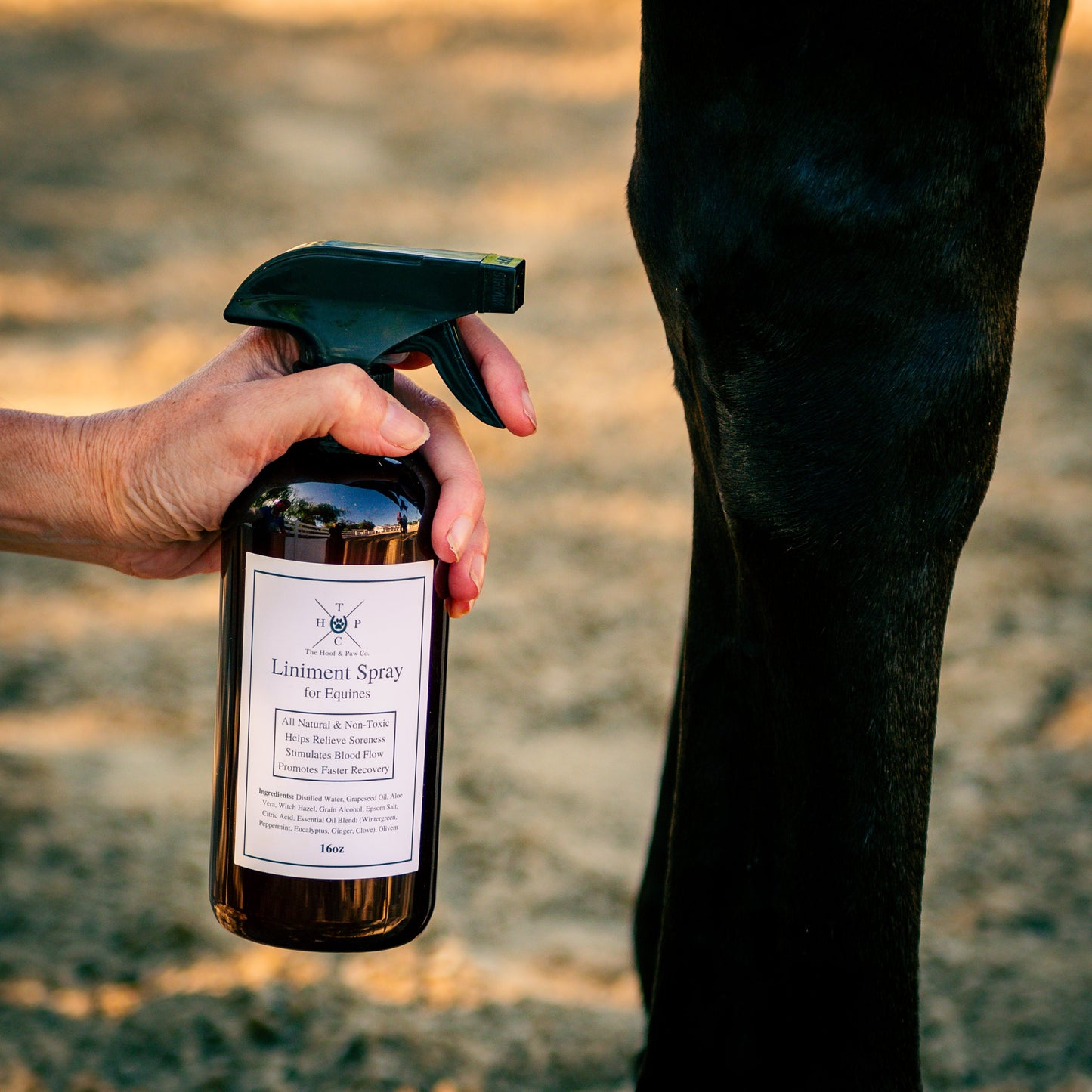 The Hoof & Paw Co. Liniment Spray for Horses - 16oz