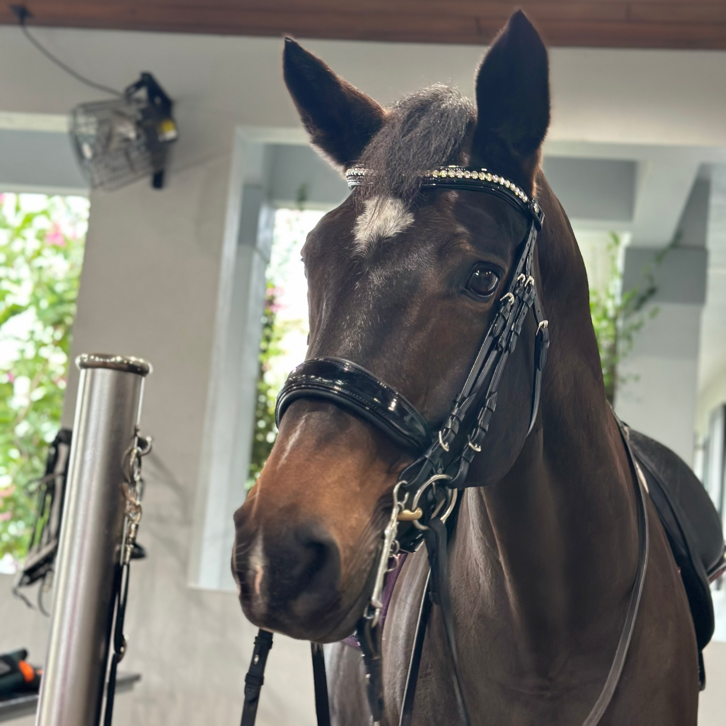 Halter Ego - The Diamante Black Patent Sparkle Double Bridle