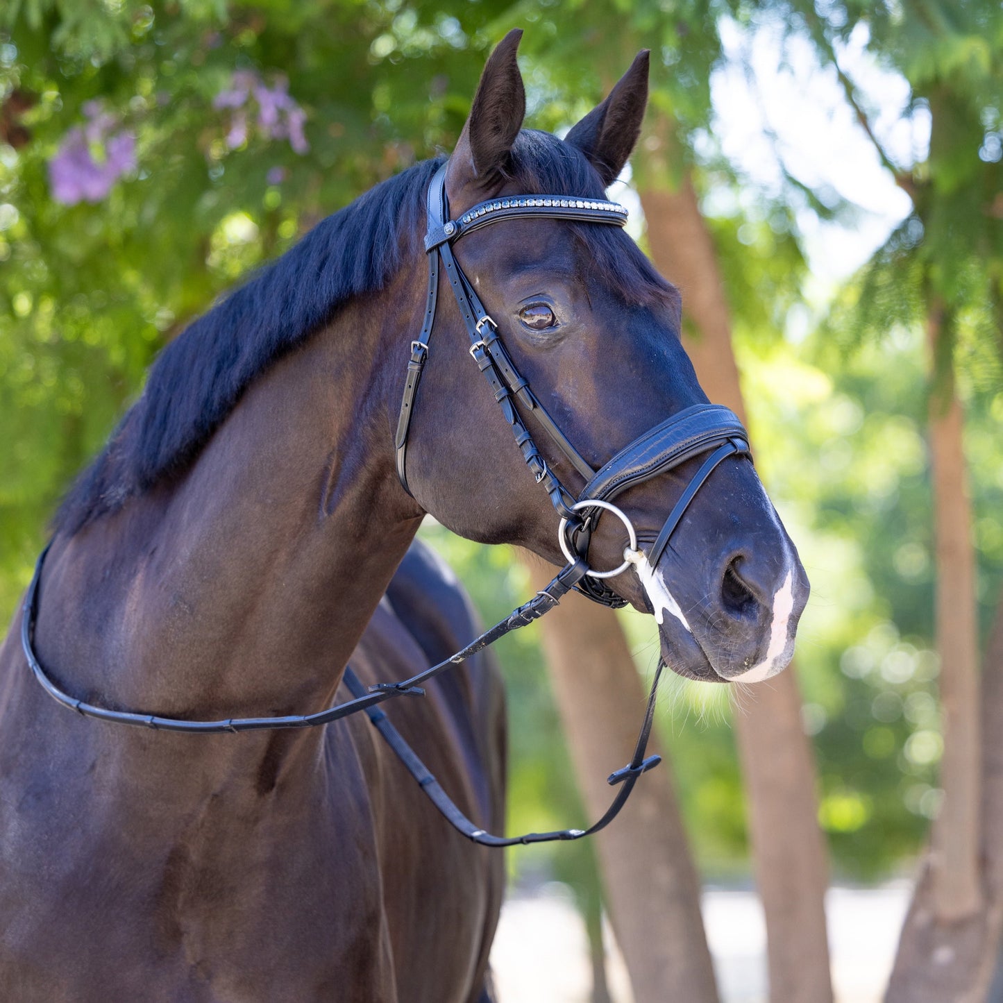 Halter Ego - Doc Marten Black Leather Snaffle Bridle with Removable Flash