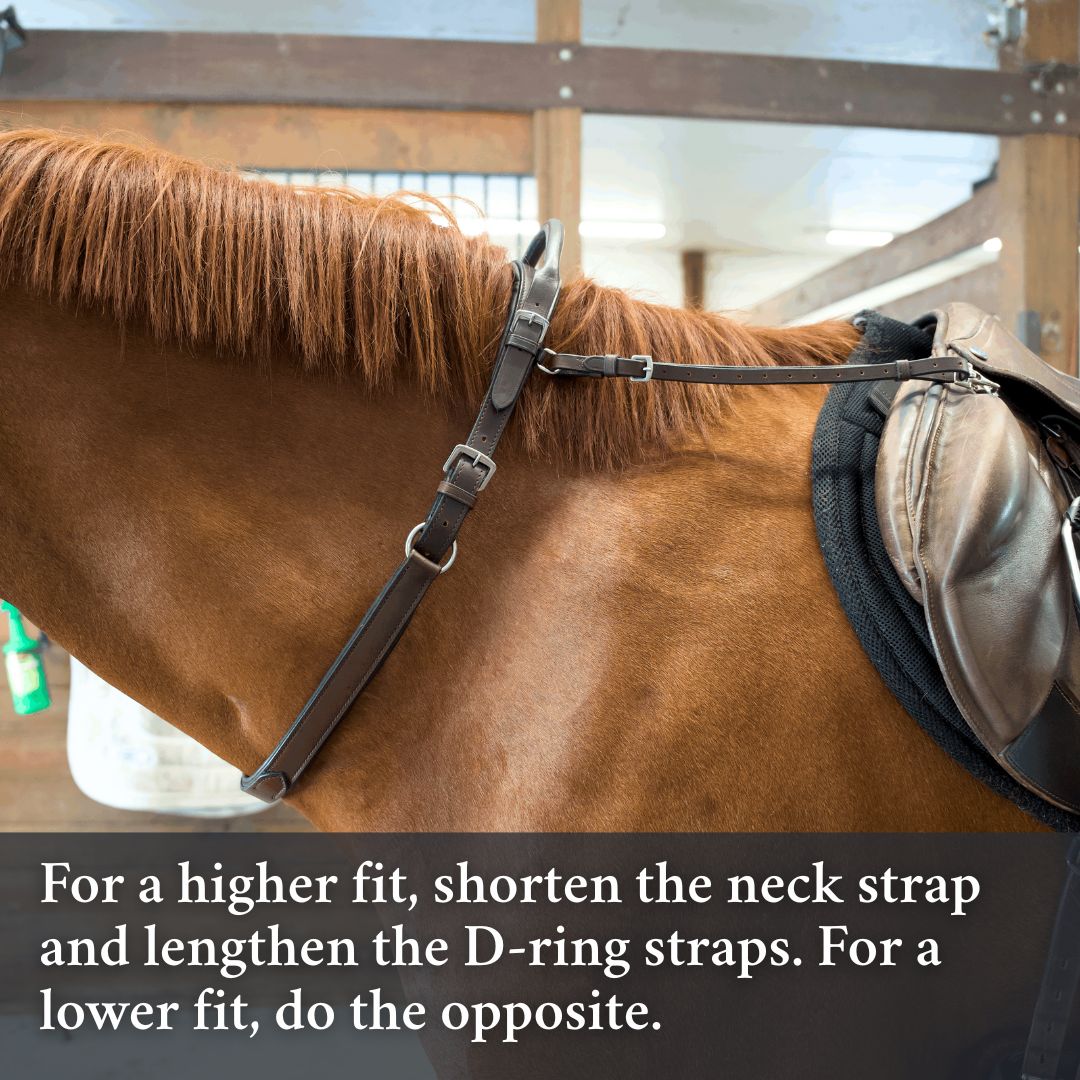 Correct Connect - Double Neck Strap
