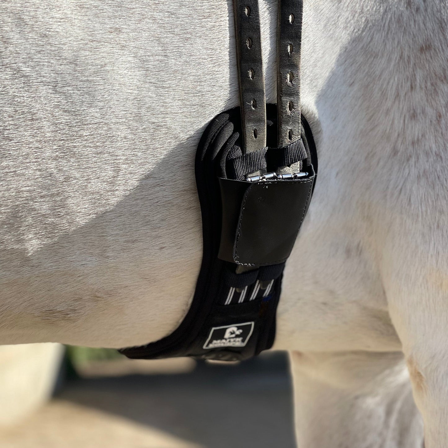 Majyk Equipe - Ergonomics Spur Saver Dressage Girth with Buckle Guards