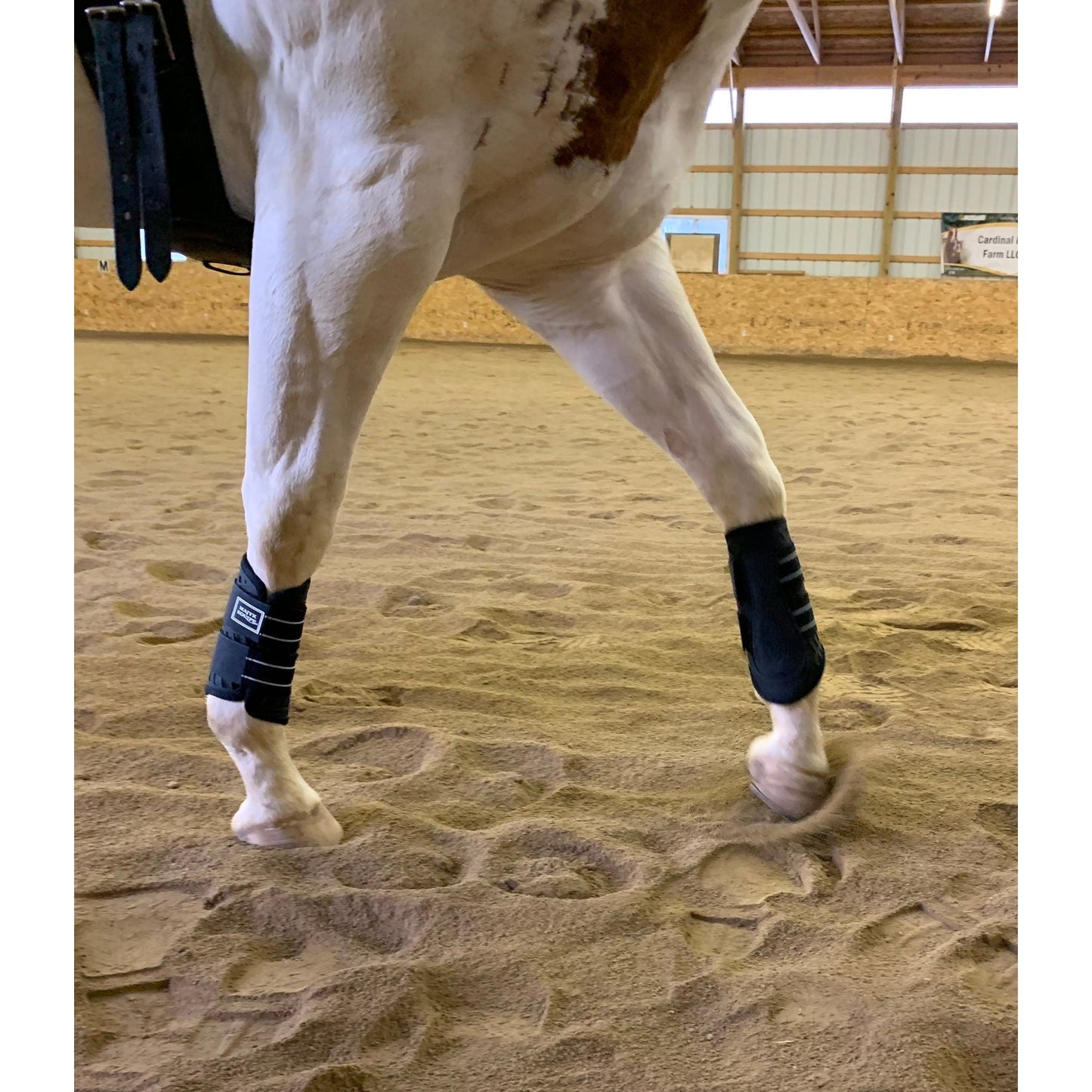Majyk Equipe - Sport Boot (Dressage)