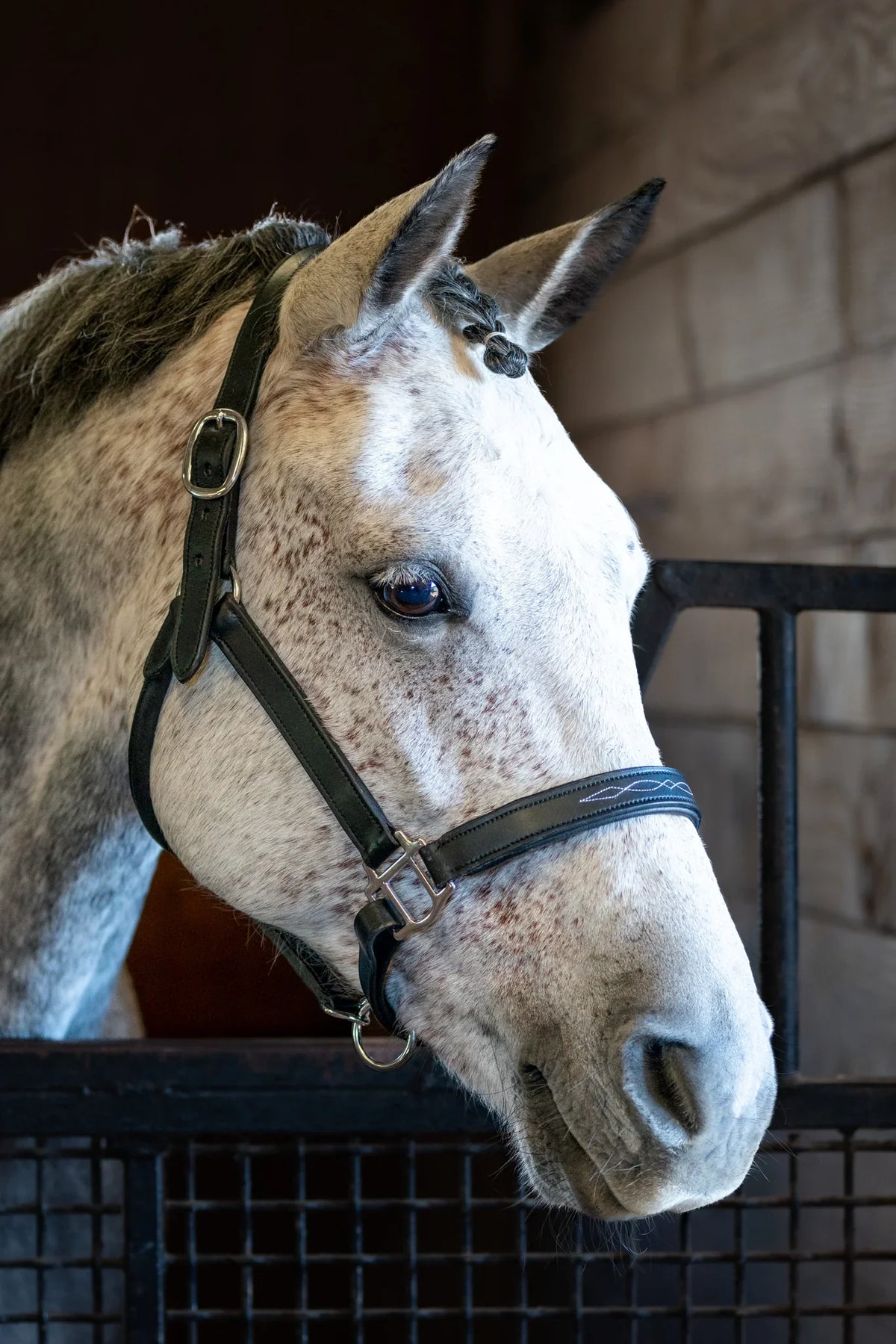 Grewal Equestrian - Eco Fancy Stitch Leather Halter