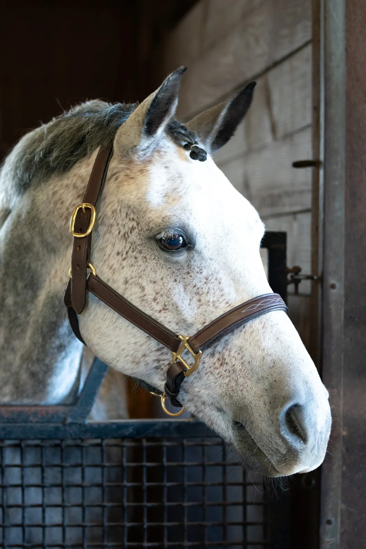 Grewal Equestrian - Eco Fancy Stitch Leather Halter