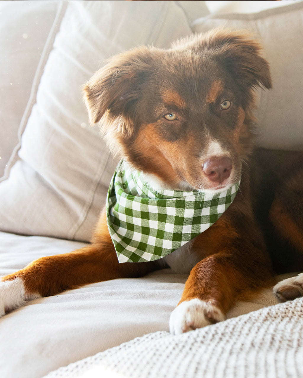 MODERNBEAST  Gingham Bandana