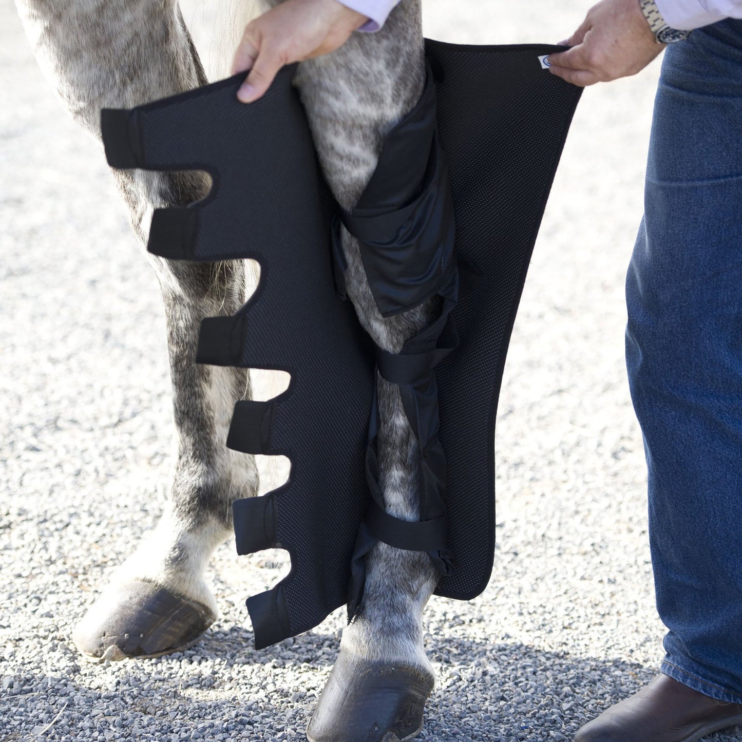 Ice Horse - Full Hind Leg Wraps
