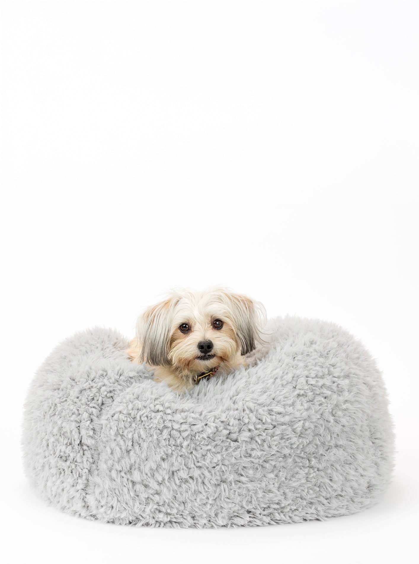 MODERNBEAST POD Dog Bed