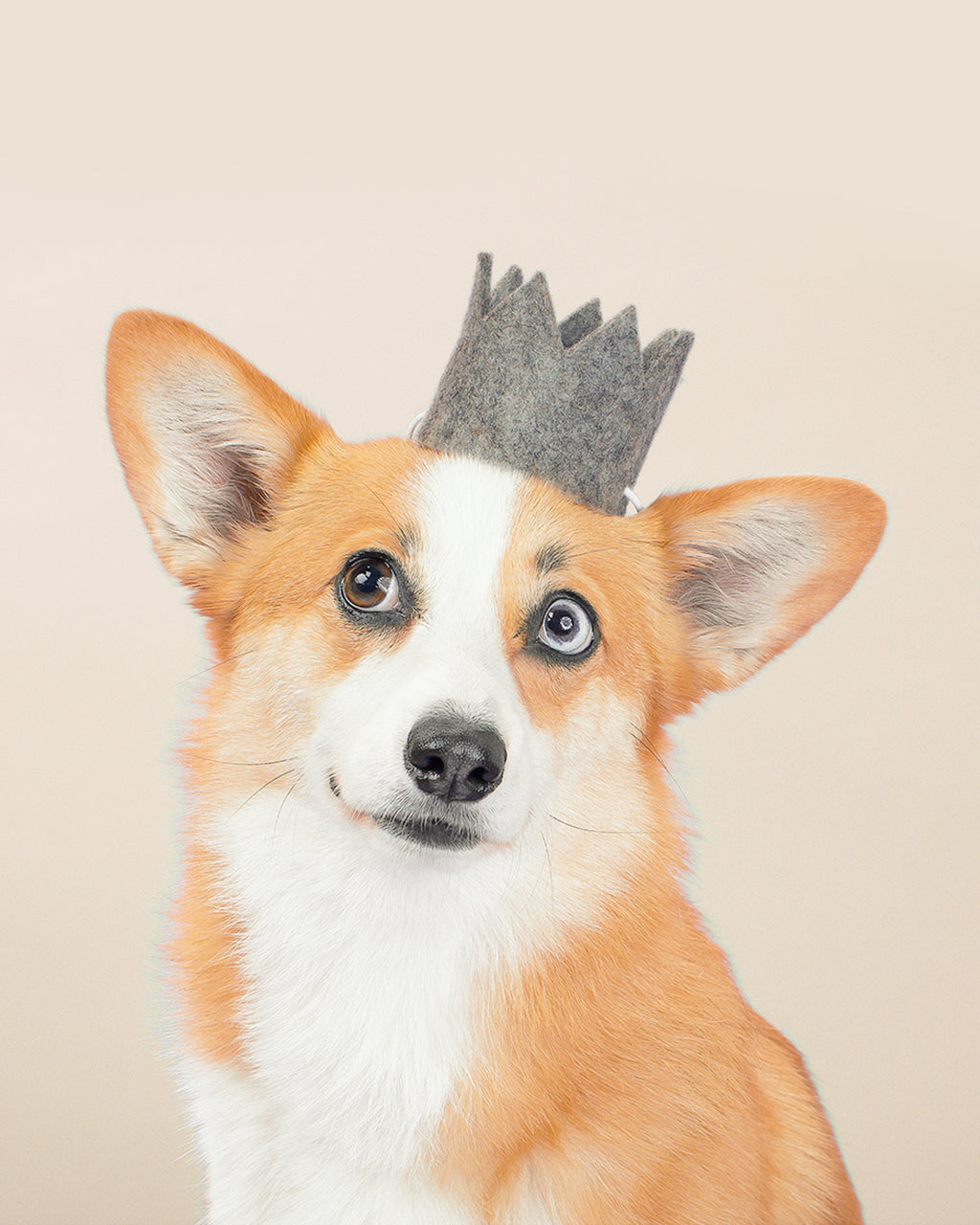 MODERNBEAST Neutral Party Crowns