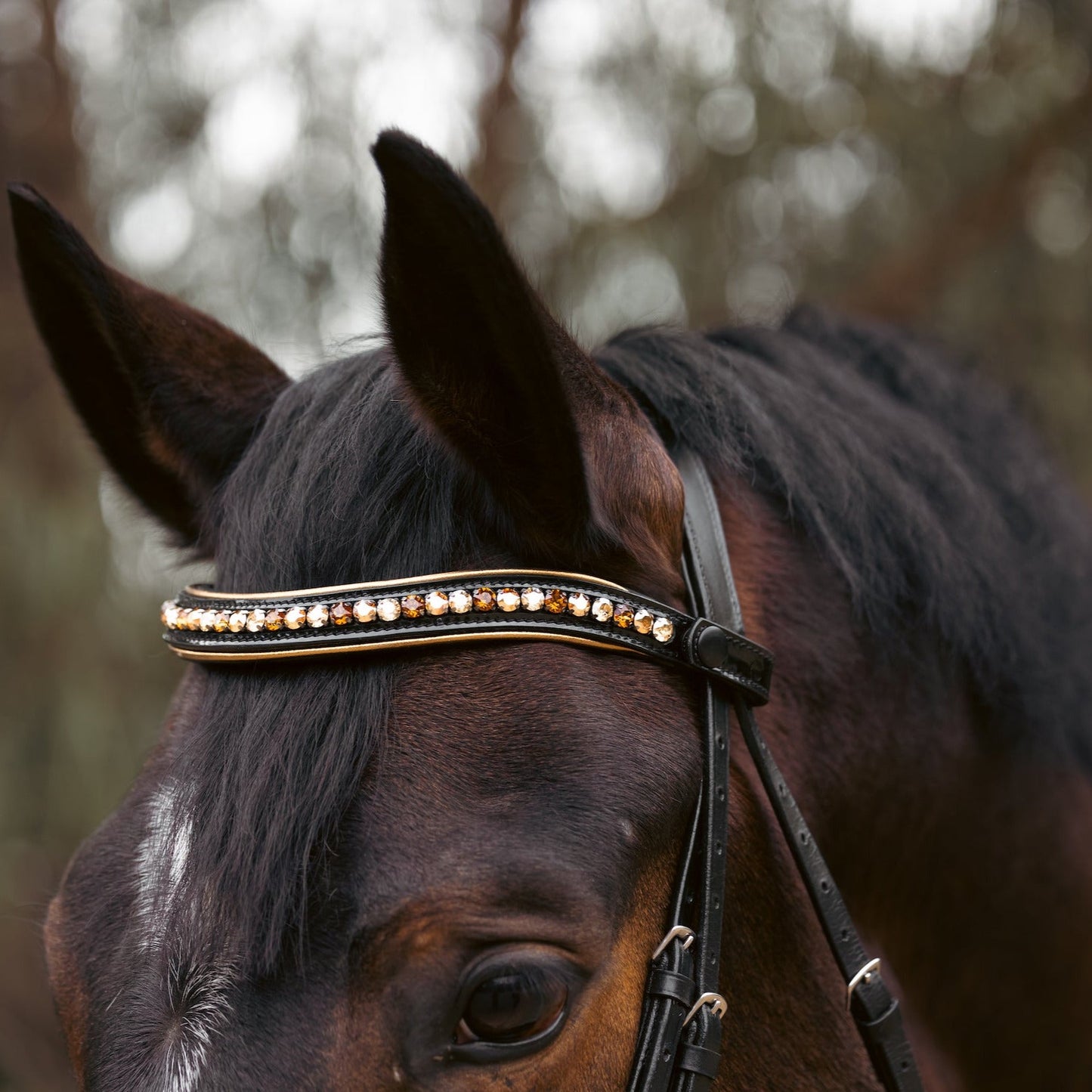 Halter Ego - Geneva - Black Patent Snaffle Bridle with Metallic Gold Piping