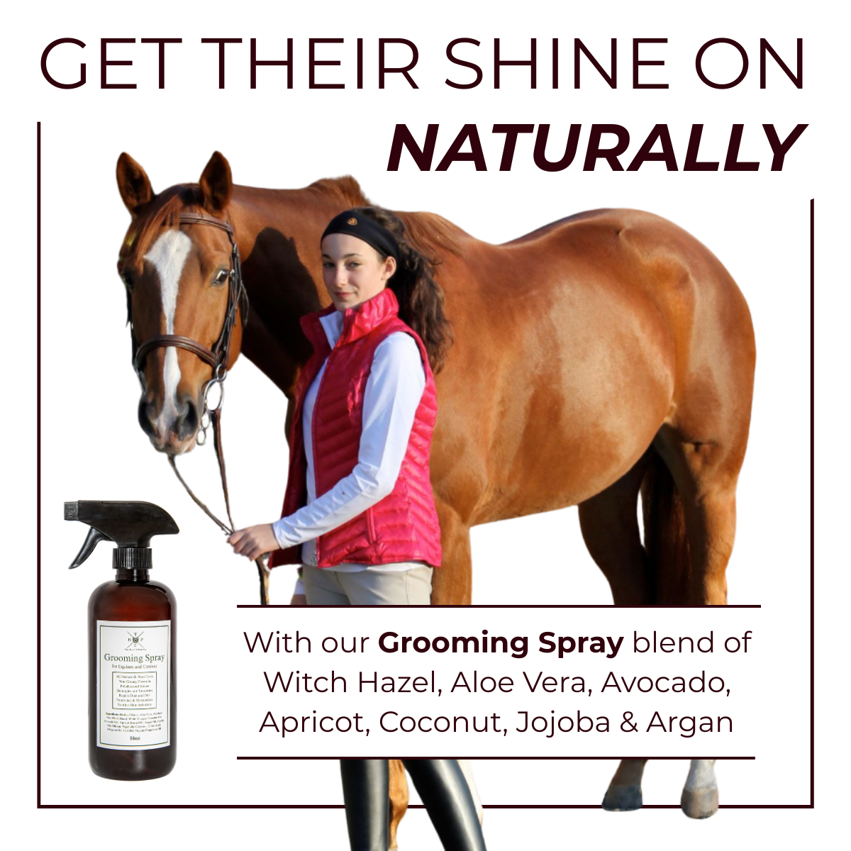 The Hoof & Paw Co. Grooming Spray for Dogs & Horses - 16oz