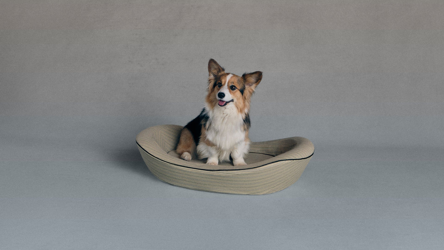 Enid Blythe Timeless Dog Bed in Finch & Flint
