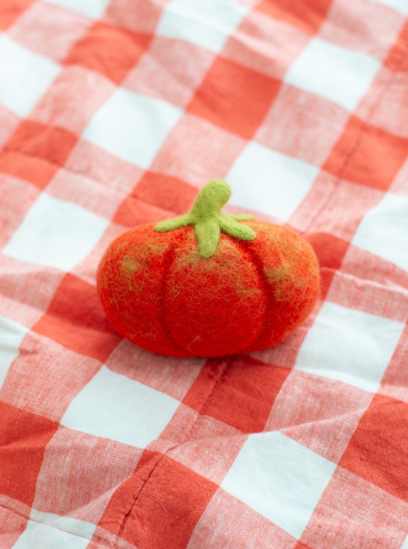 MODERNBEAST - Heirloom Tomato Wool Dog & Cat Toy