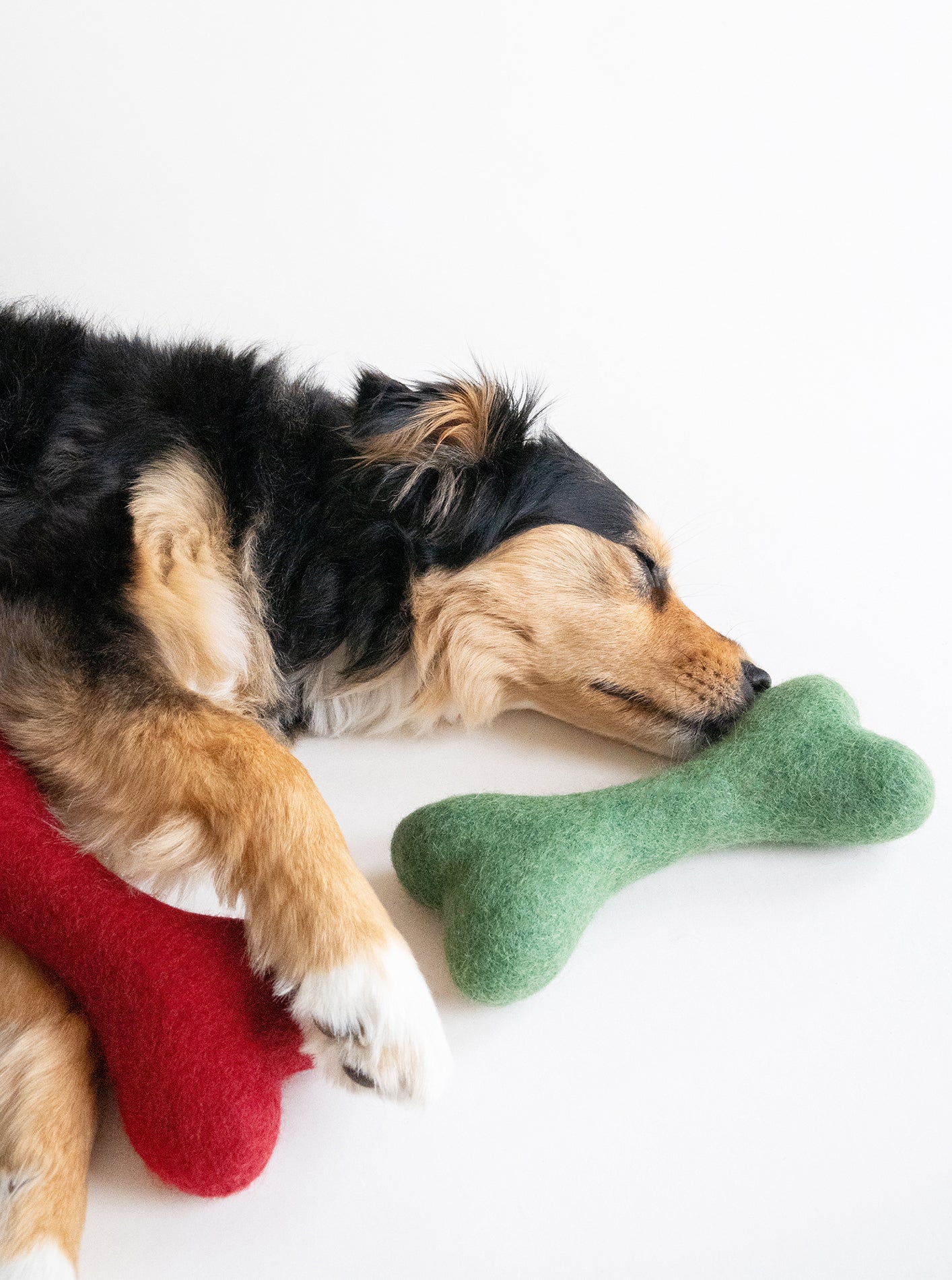 MODERNBEAST  MB Woolbone