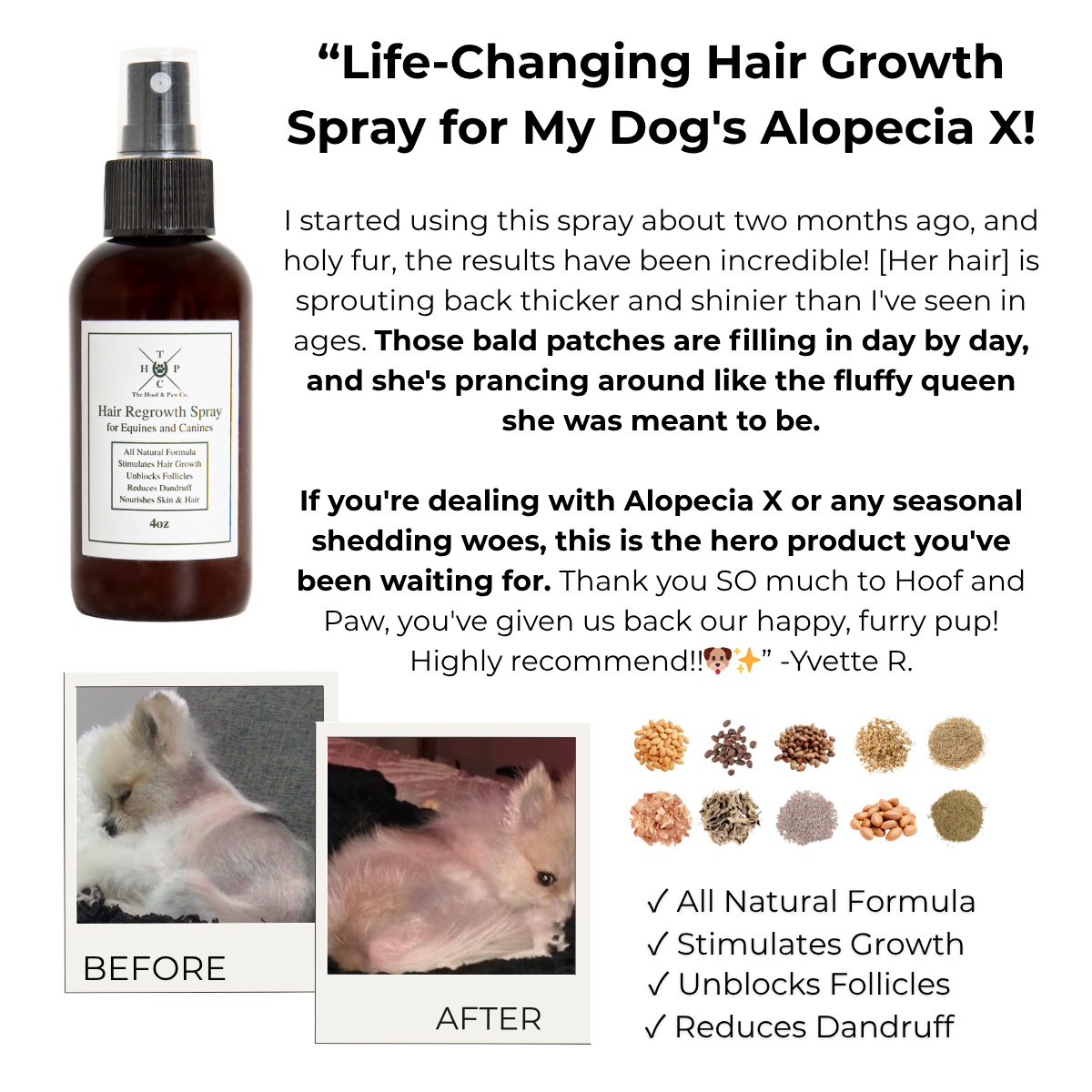 The Hoof & Paw Co. Hair Regrowth Spray for Dogs & Horses