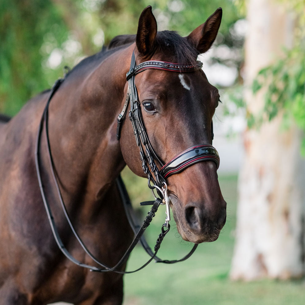 Halter Ego - The Hayworth Double - Black Patent Double Bridle