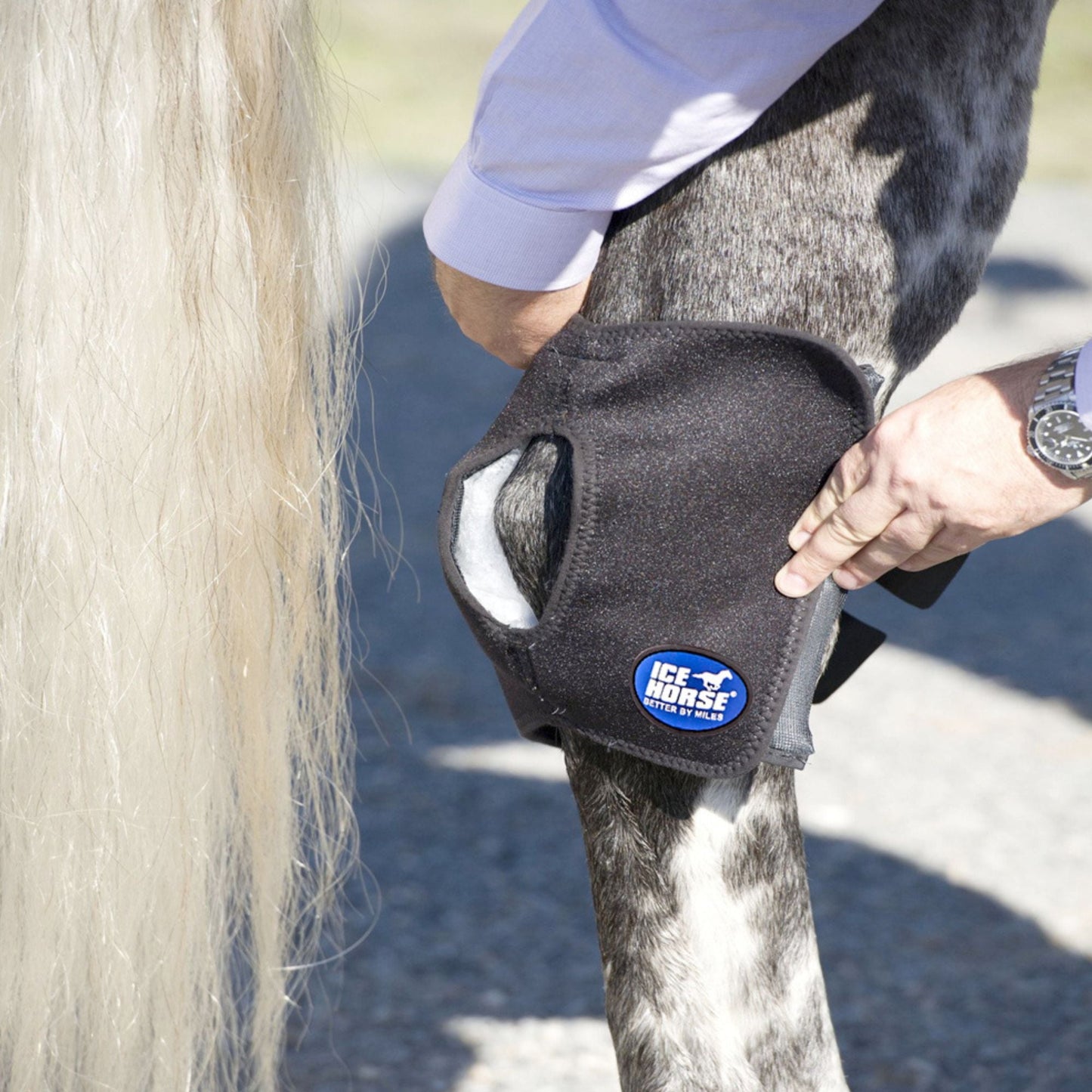 Ice Horse - Hock Wraps