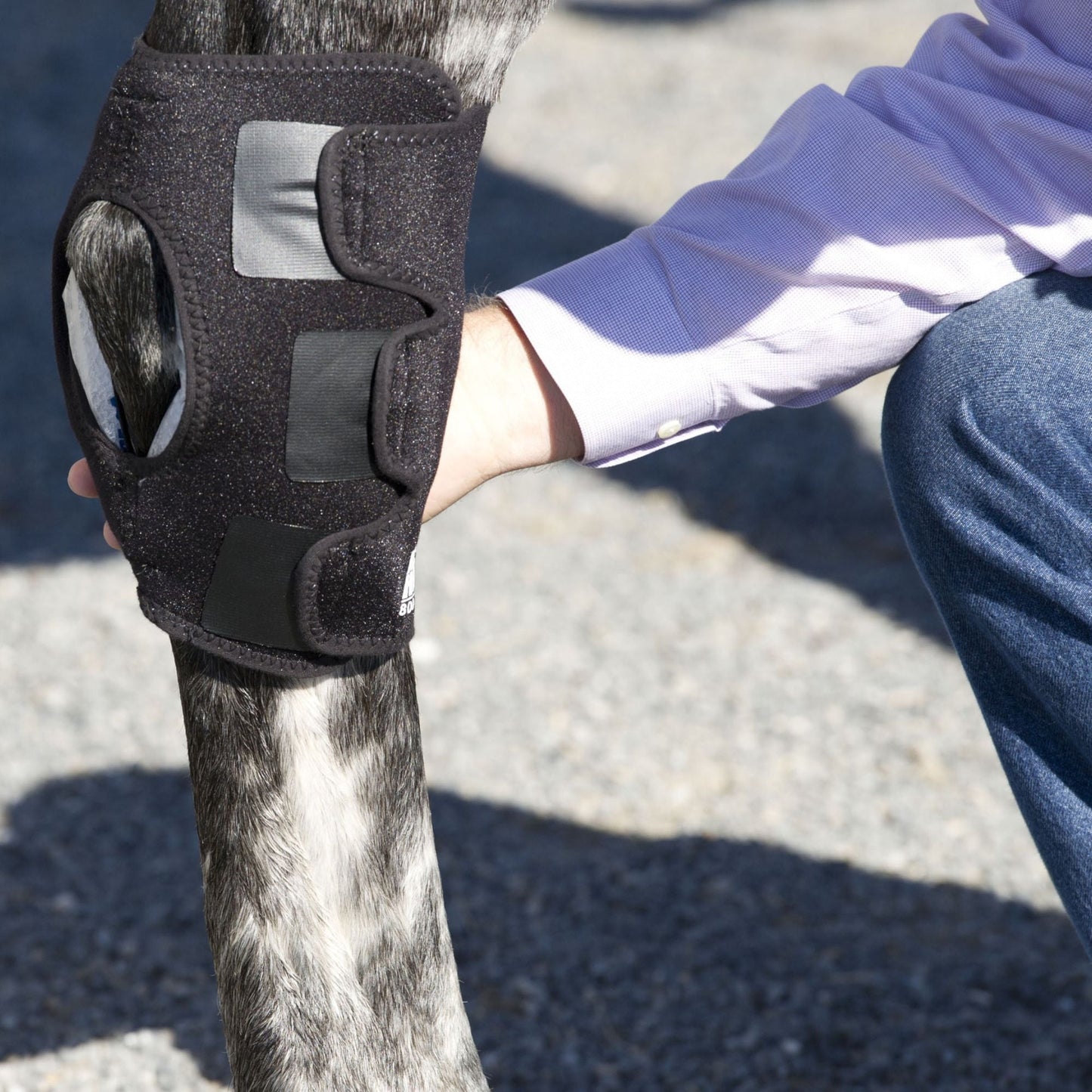 Ice Horse - Hock Wraps