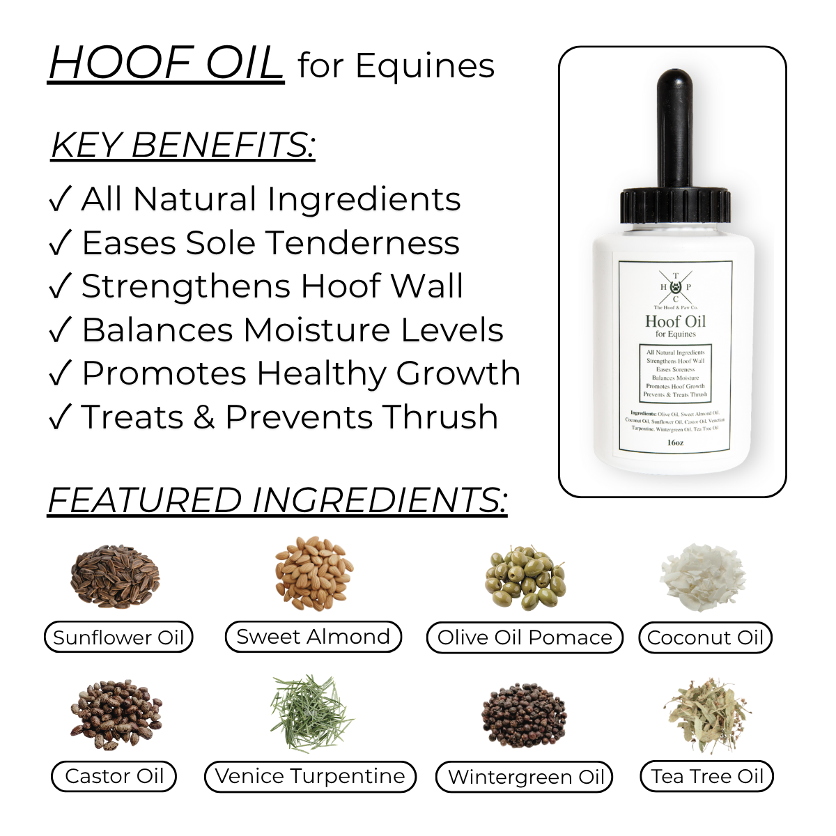 The Hoof & Paw Co. Hoof Oil for Horses