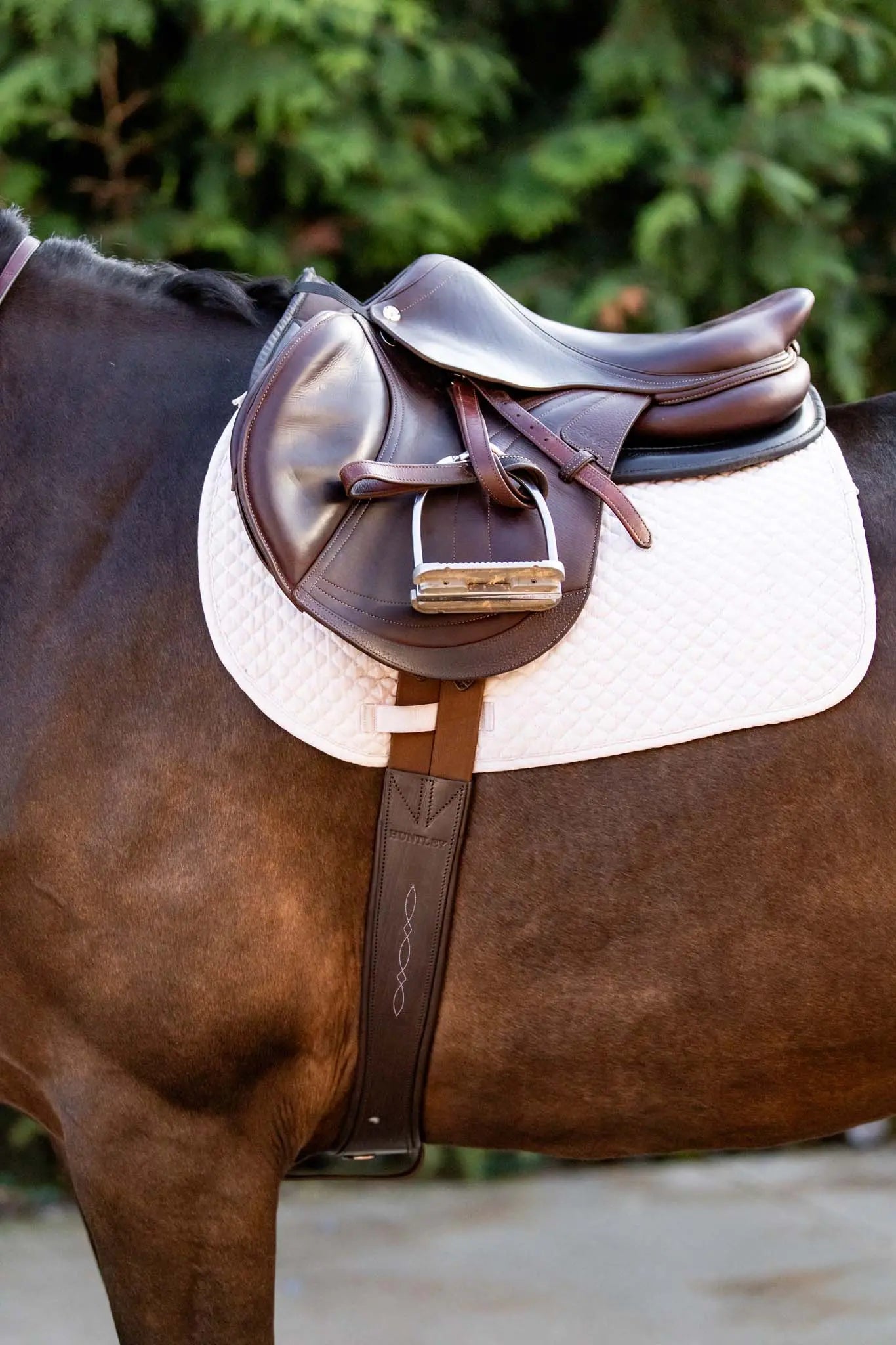 Huntley Equestrian - Sedgwick Leather Fancy Stitched Padded Leather Contour Shaped Girth with Double End Elastic